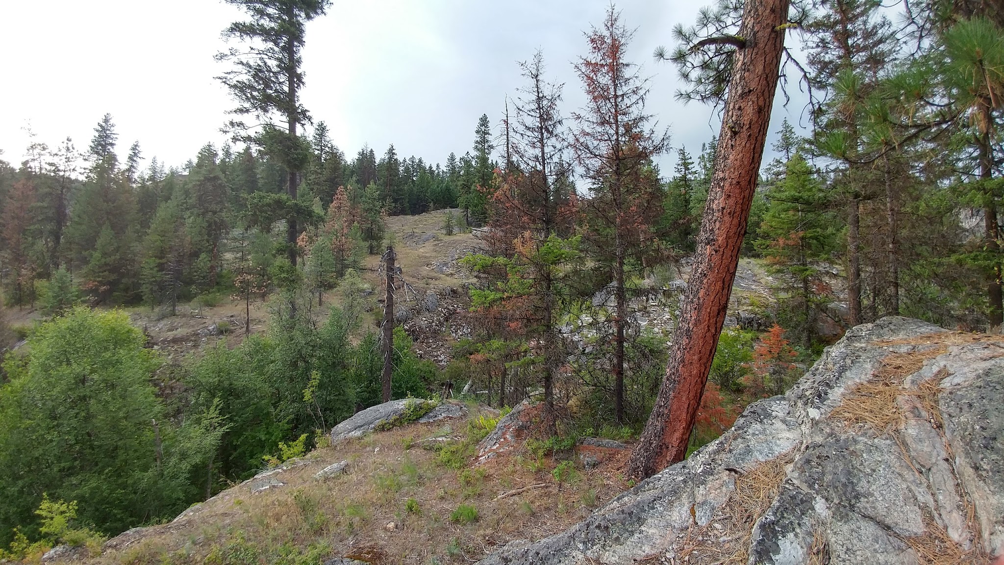 Lake Ellen East Campground
