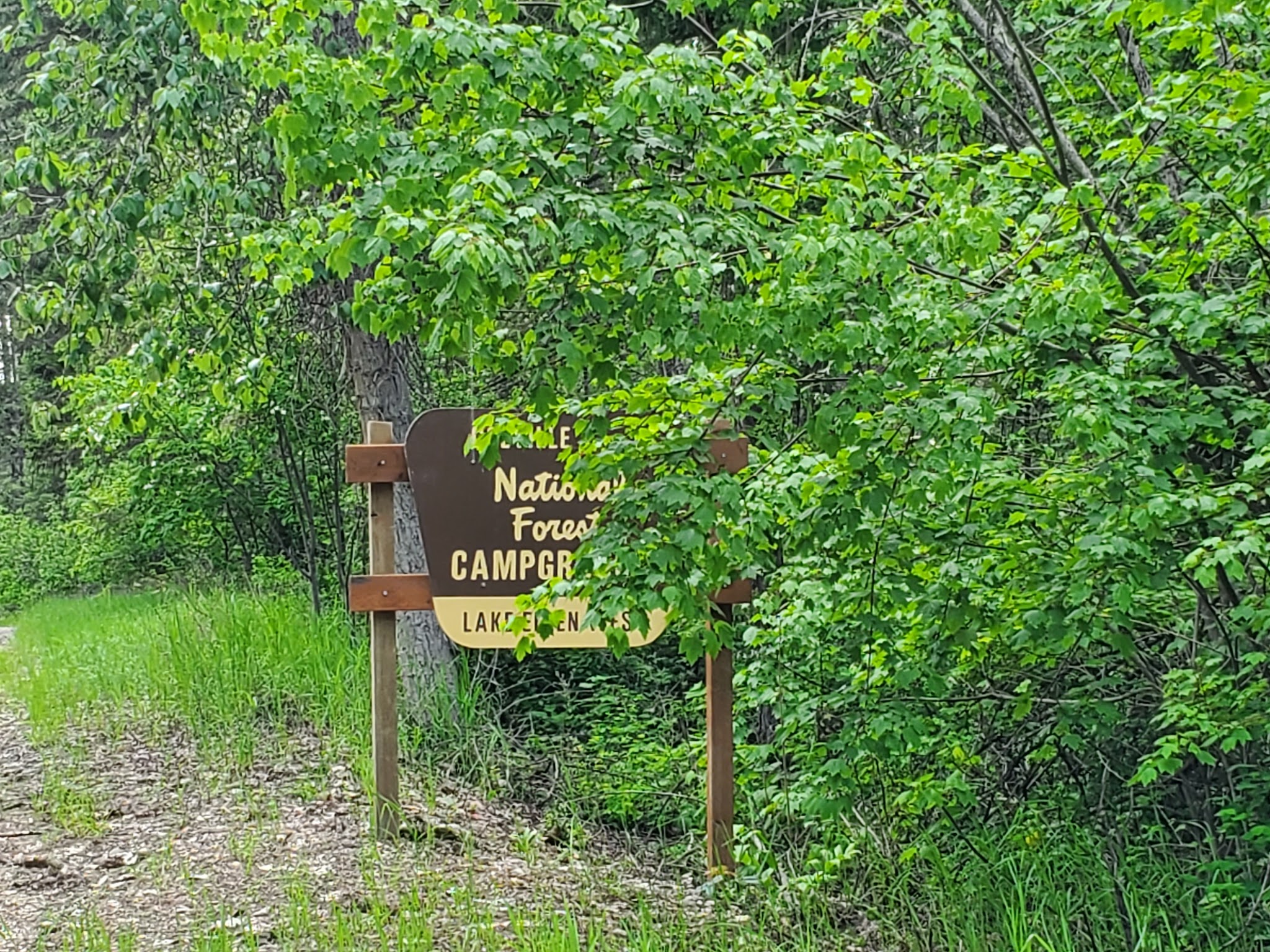 Lake Ellen East Campground