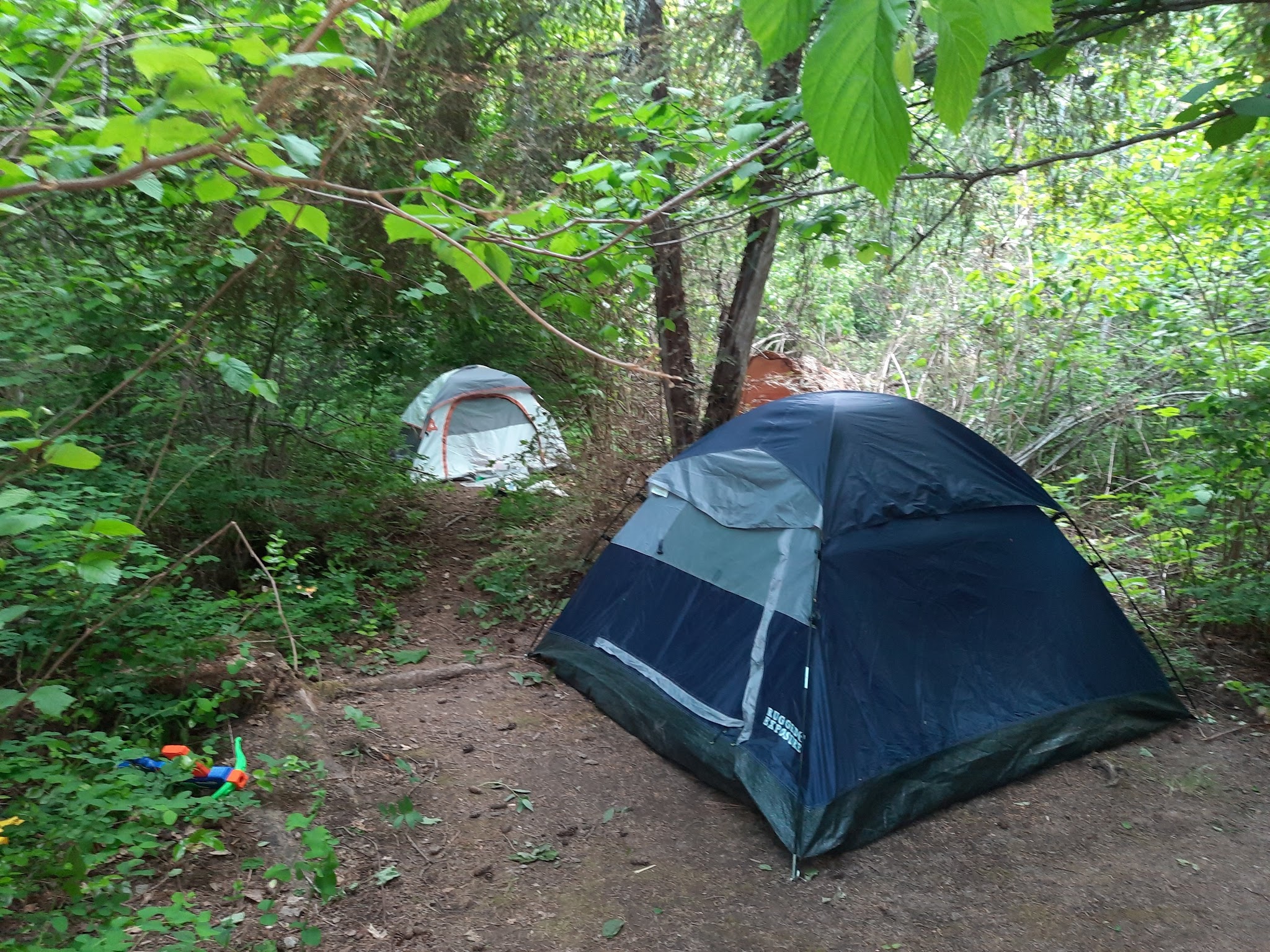 Lake Ellen East Campground