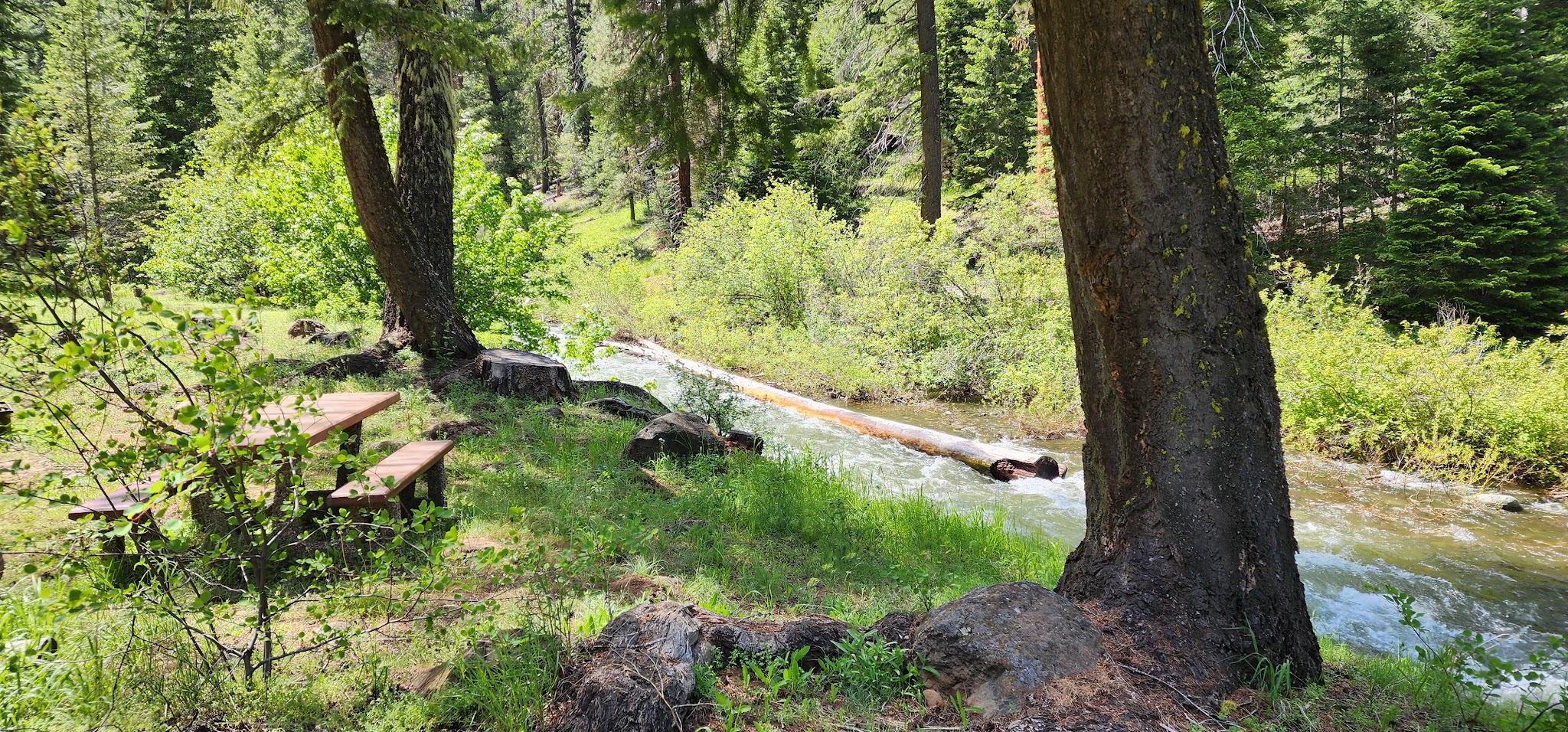 Lake Fork Campground