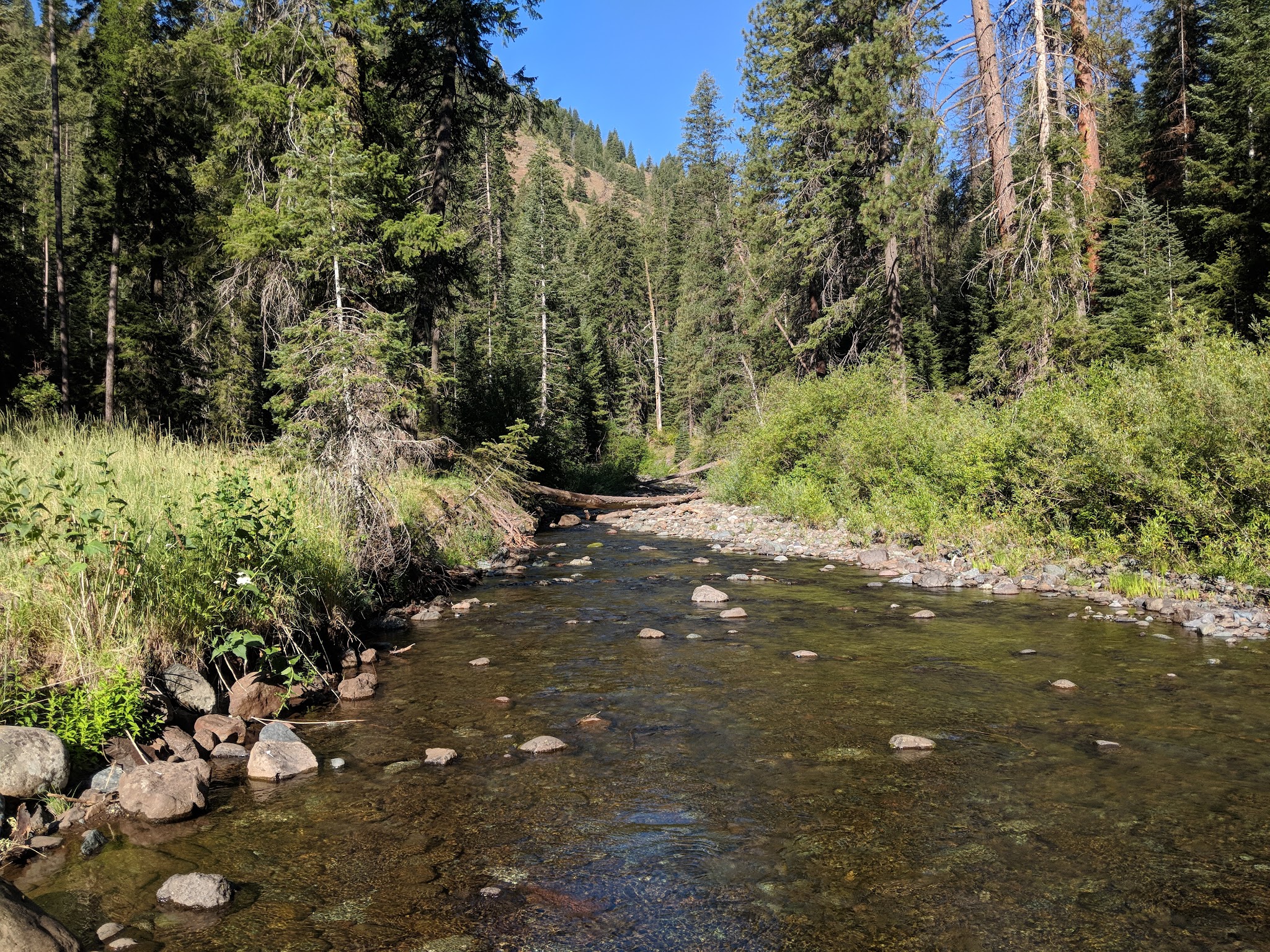 Lake Fork Campground