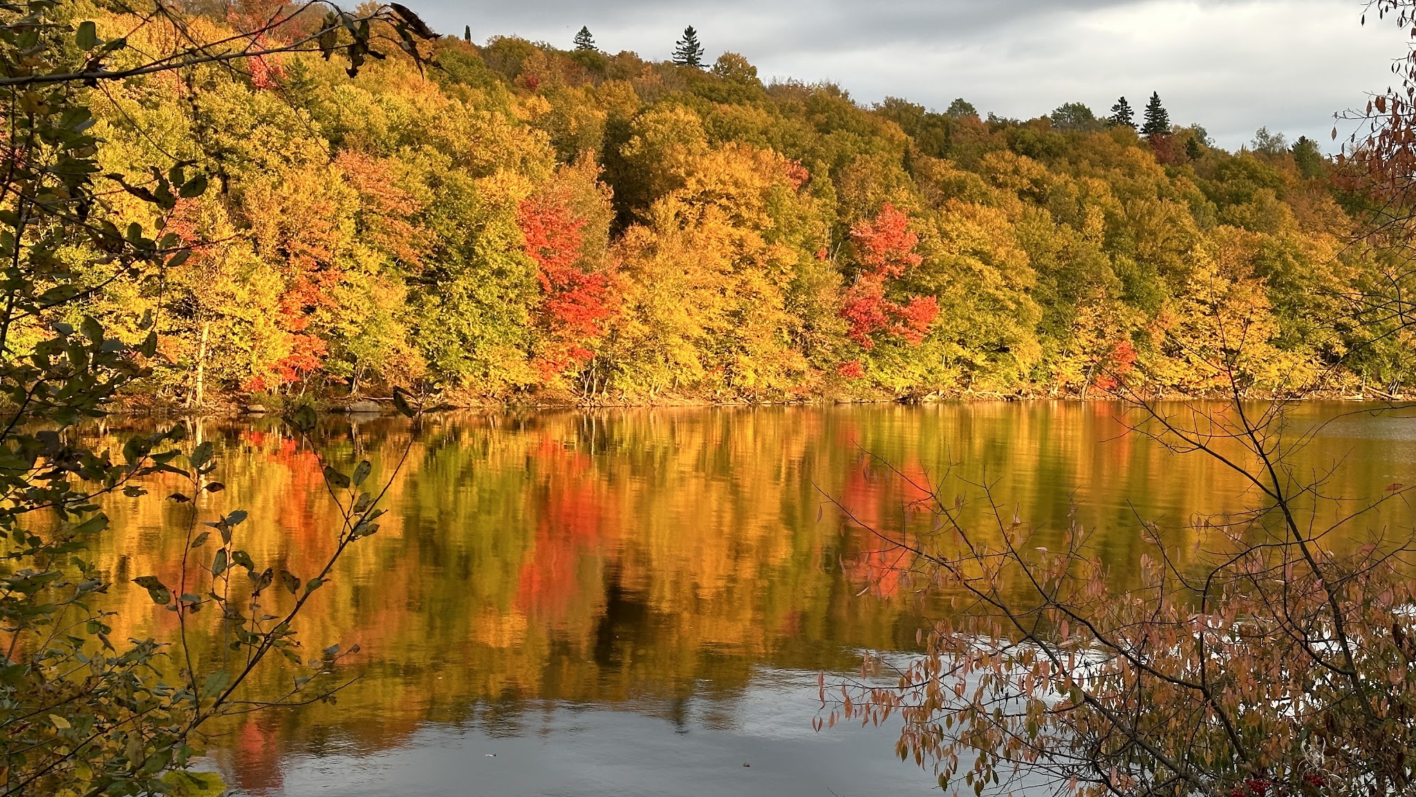 Lake Francis State Park