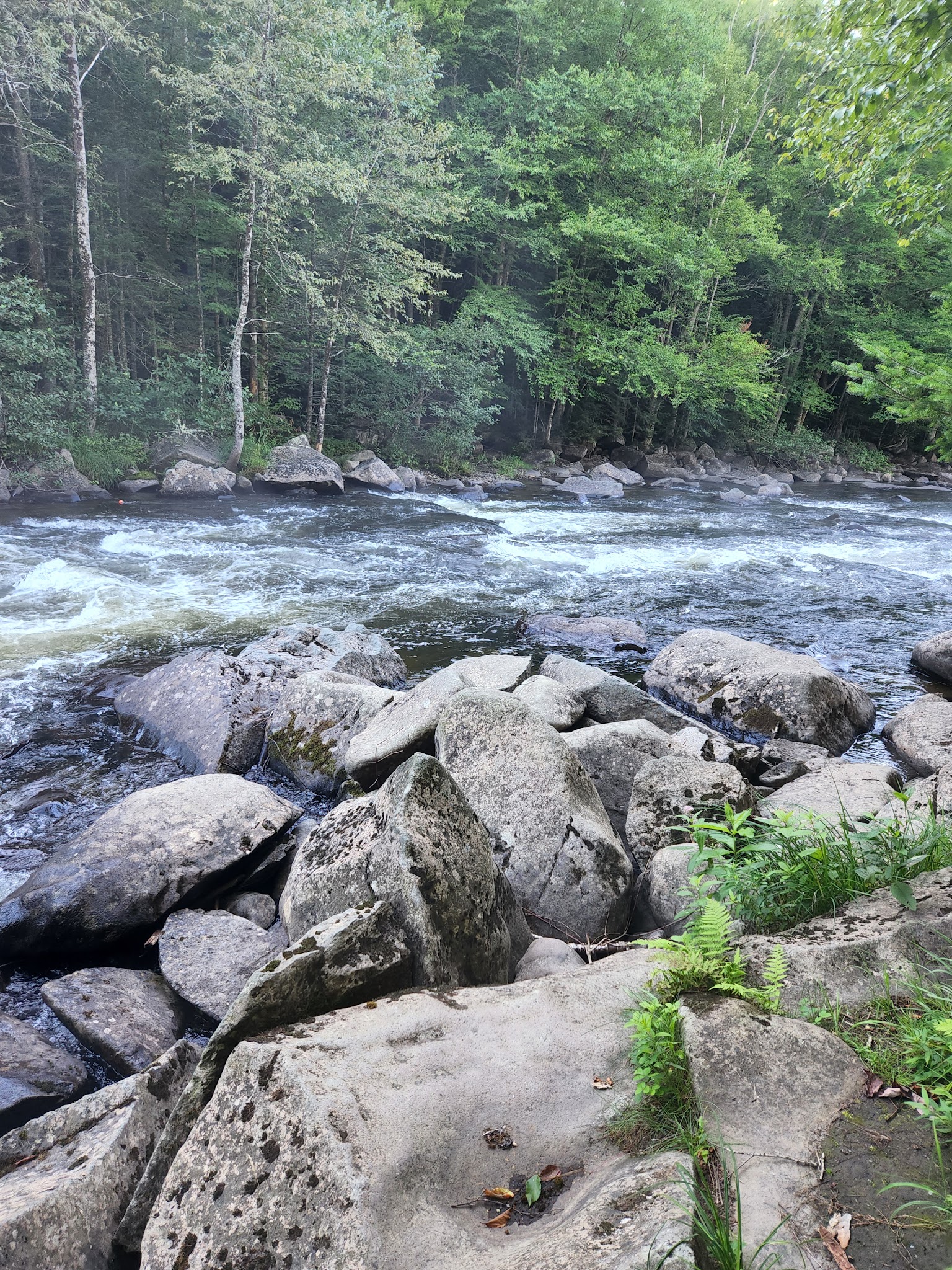 Lake Francis State Park