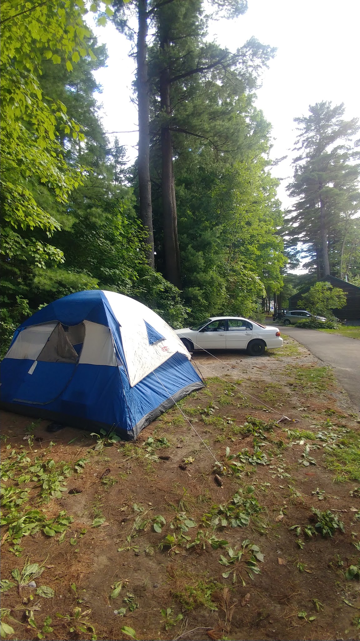 Lake George Battleground
