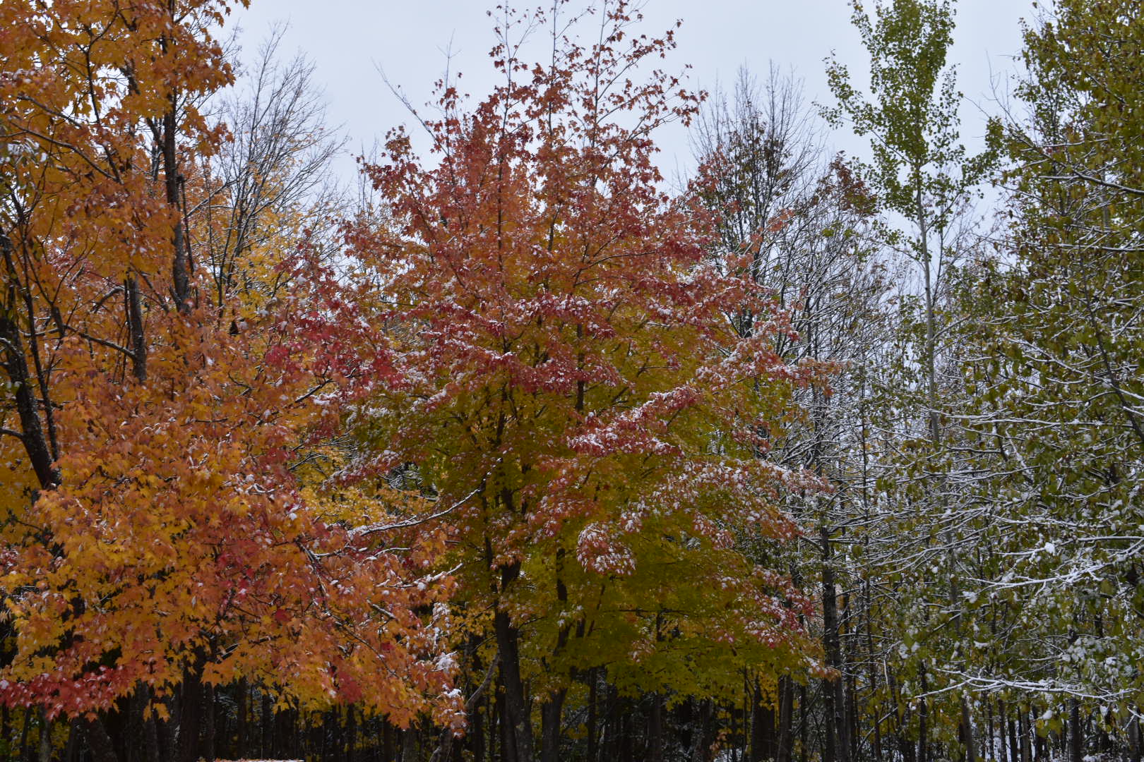 Lake Gogebic Campground