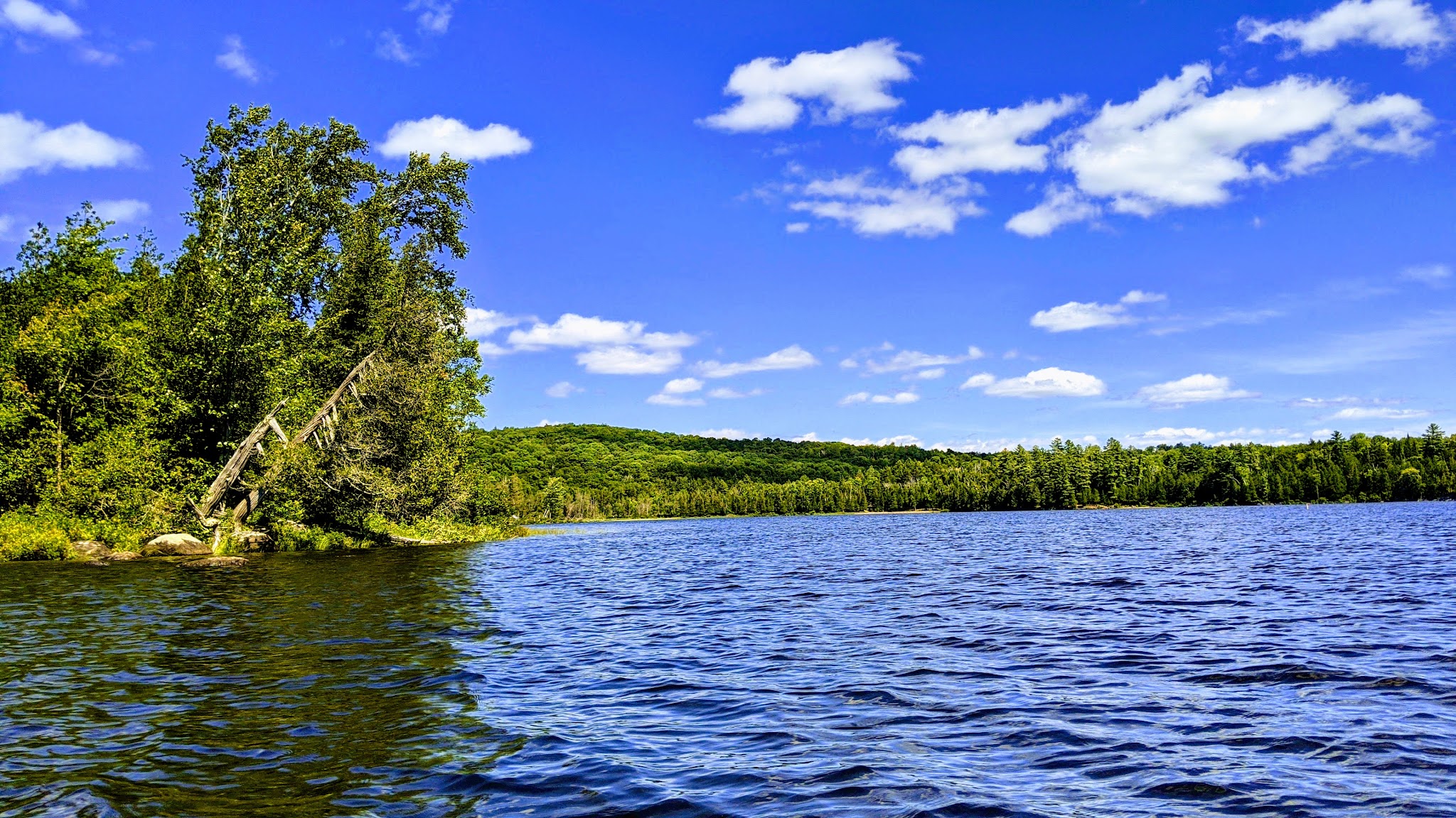 Lake Harris Campground