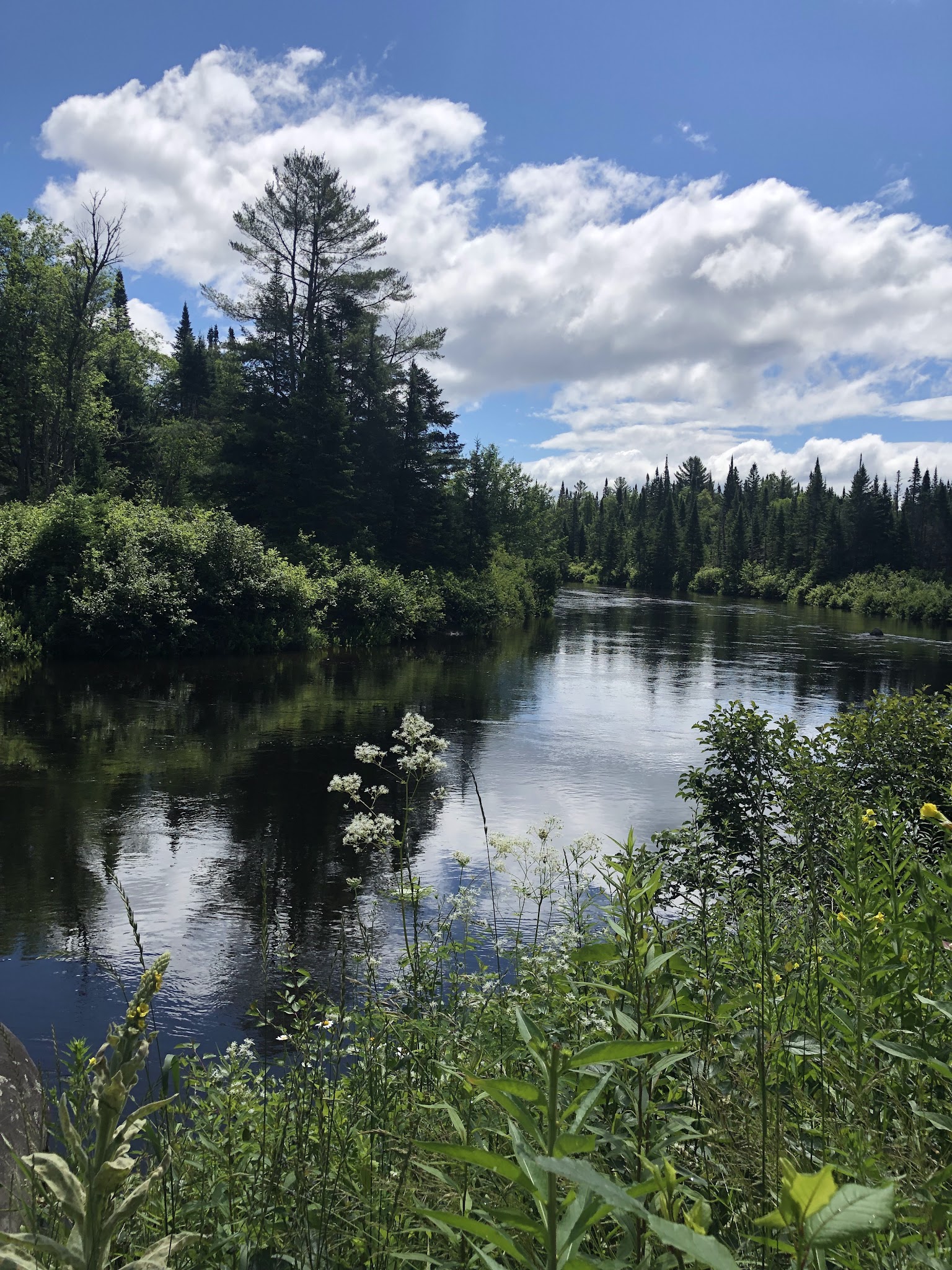 Lake Harris Campground