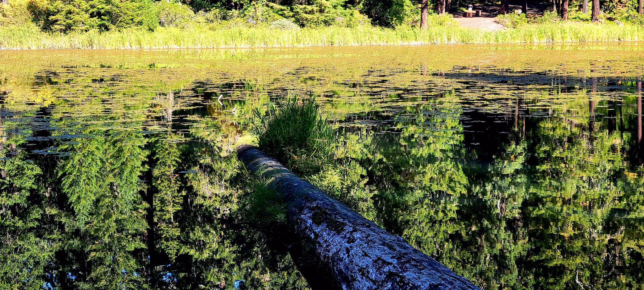 Lake In The Woods Campground