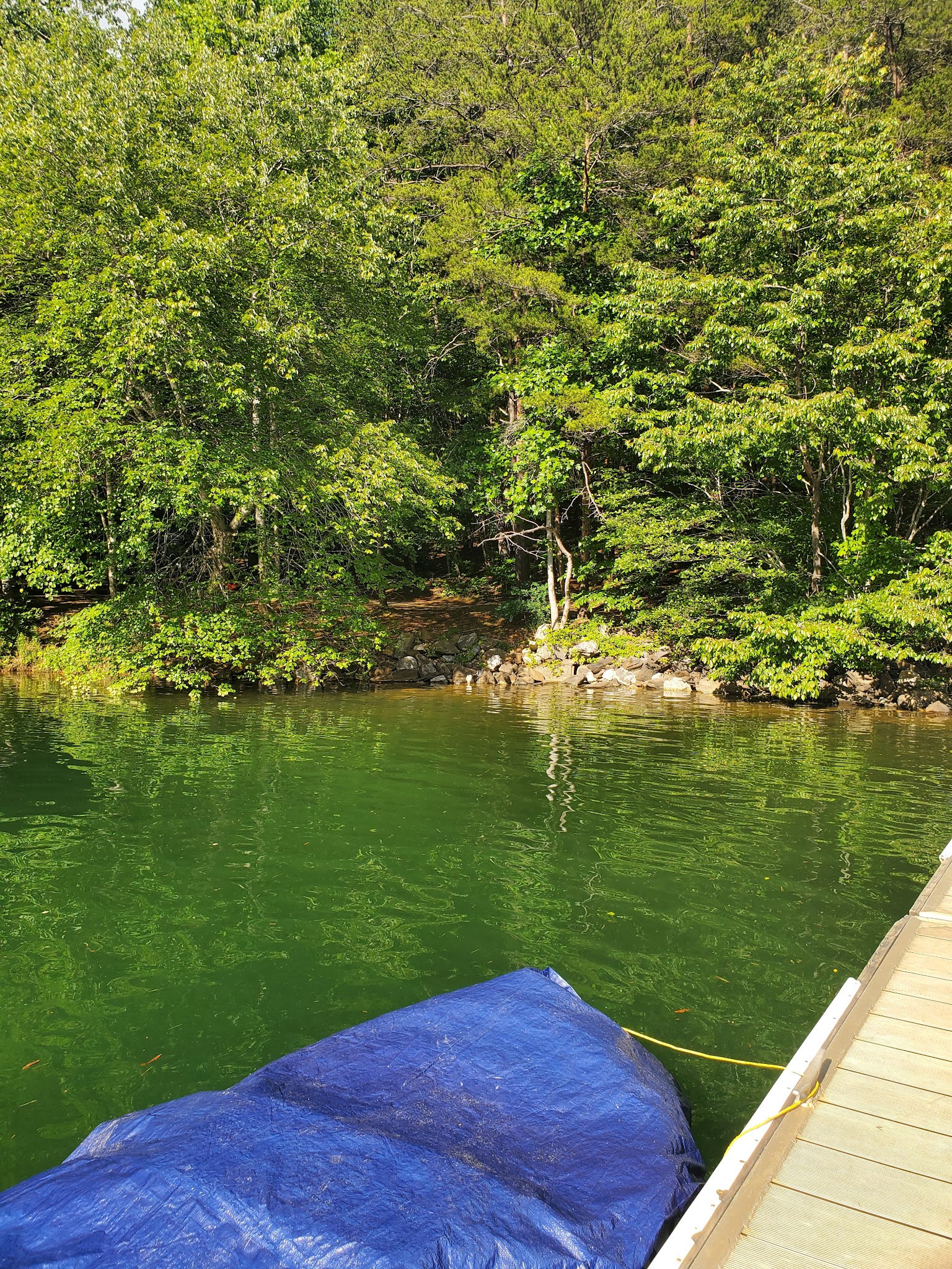 Lake James State Park