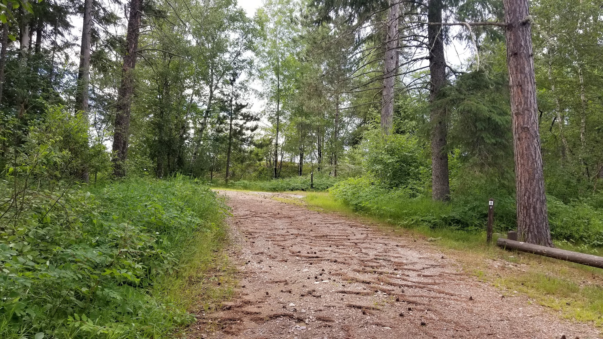 T-Lake Backcountry Campsite