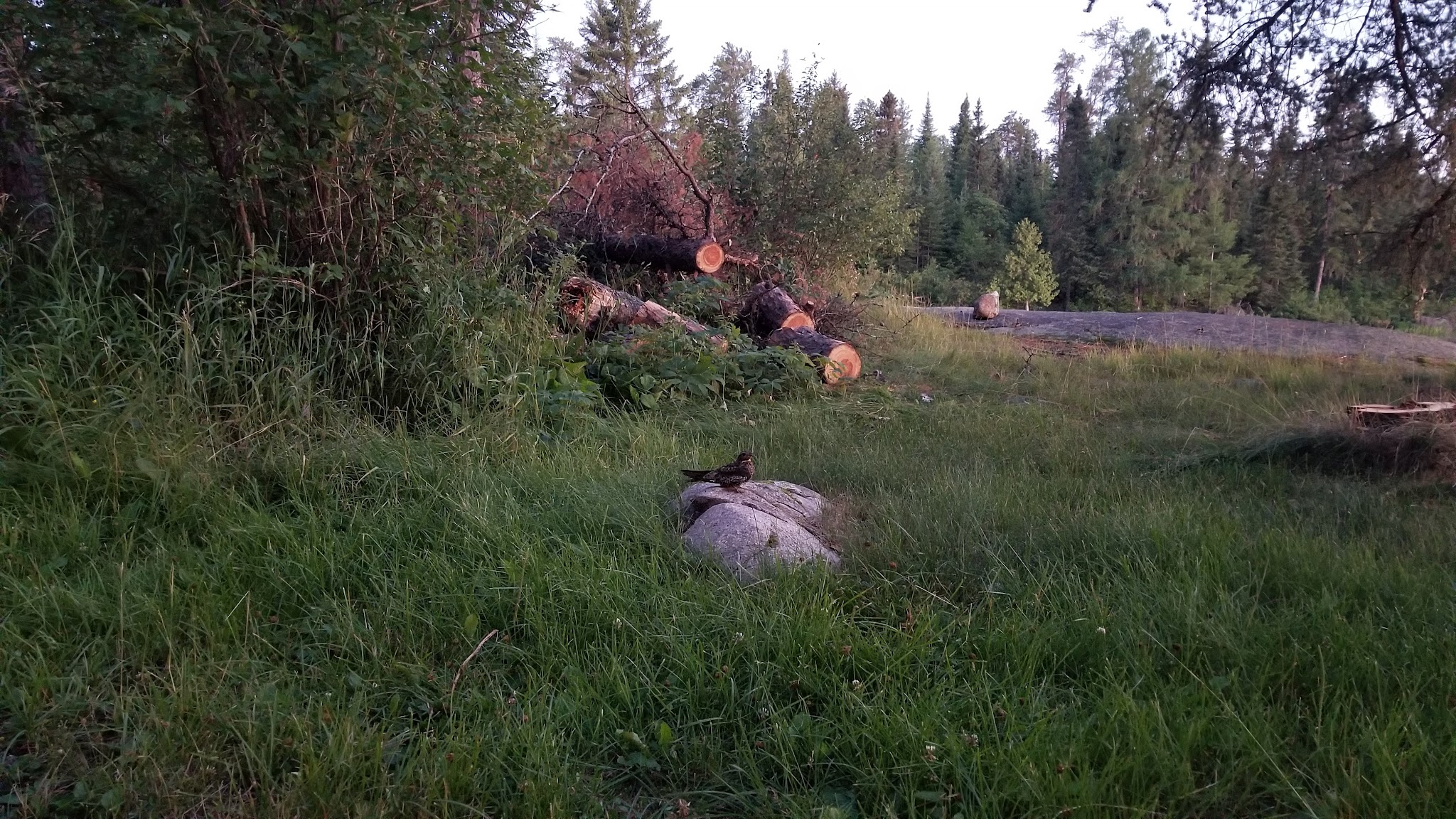 T-Lake Backcountry Campsite