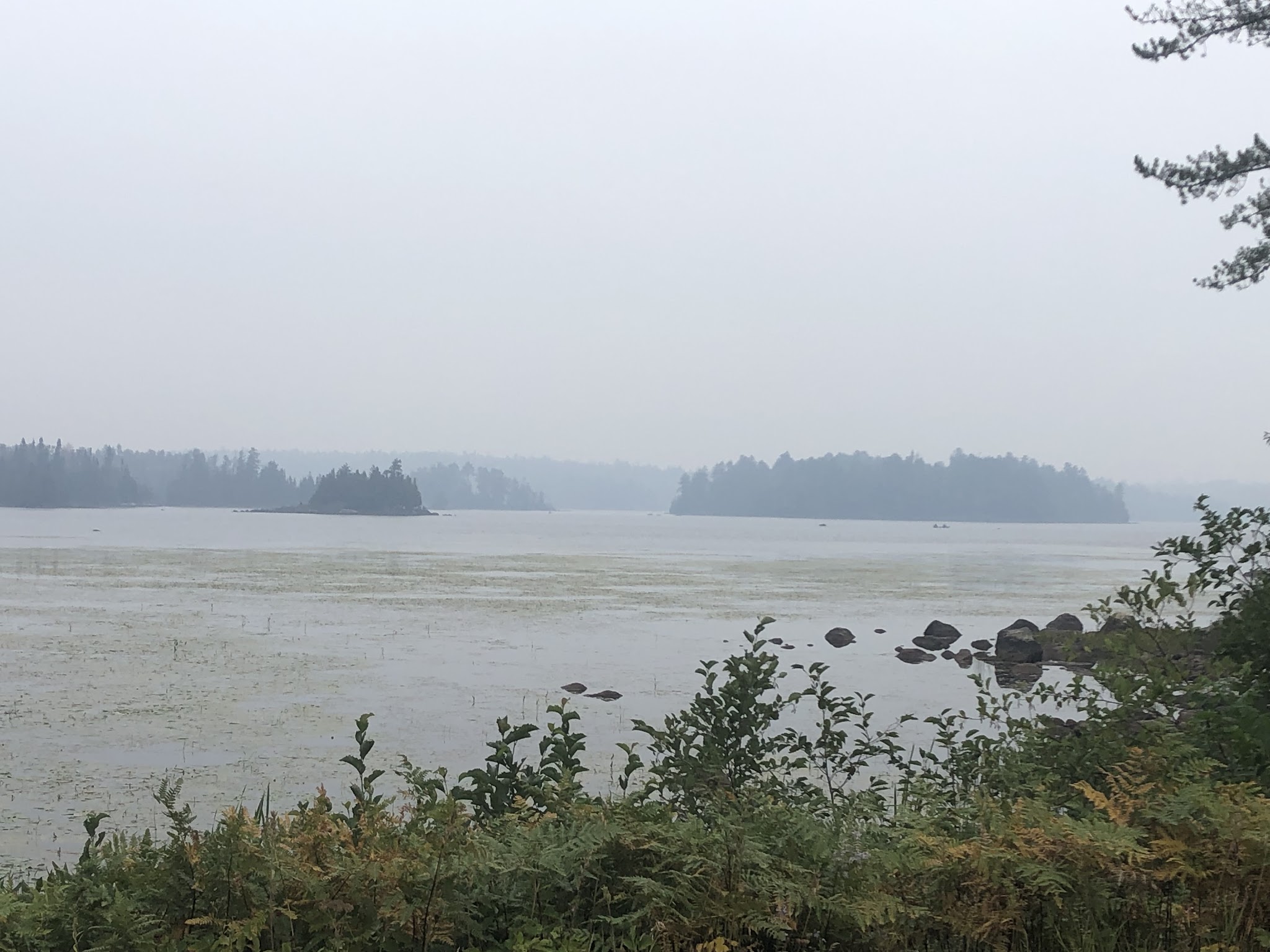 T-Lake Backcountry Campsite