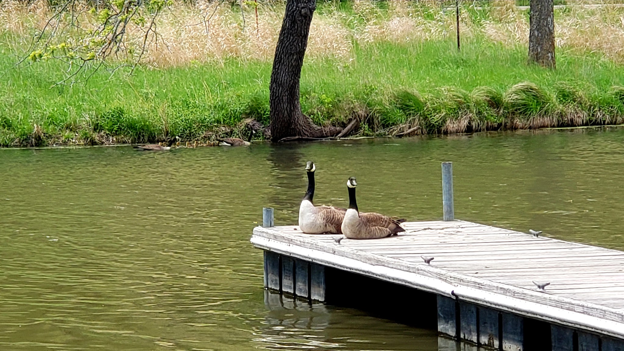 Lake Keomah State Park