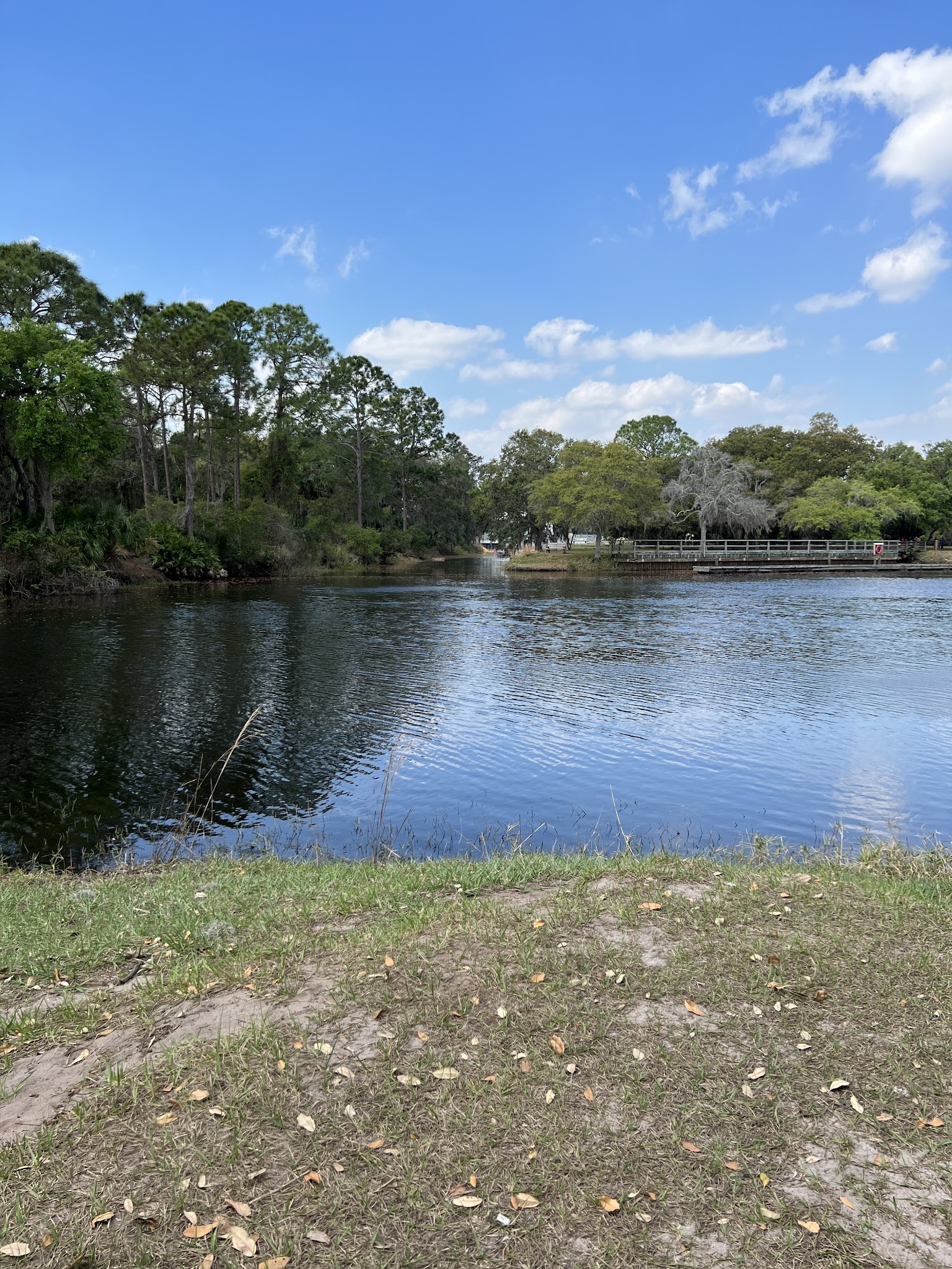 Lake Kissimmee State Park Campground