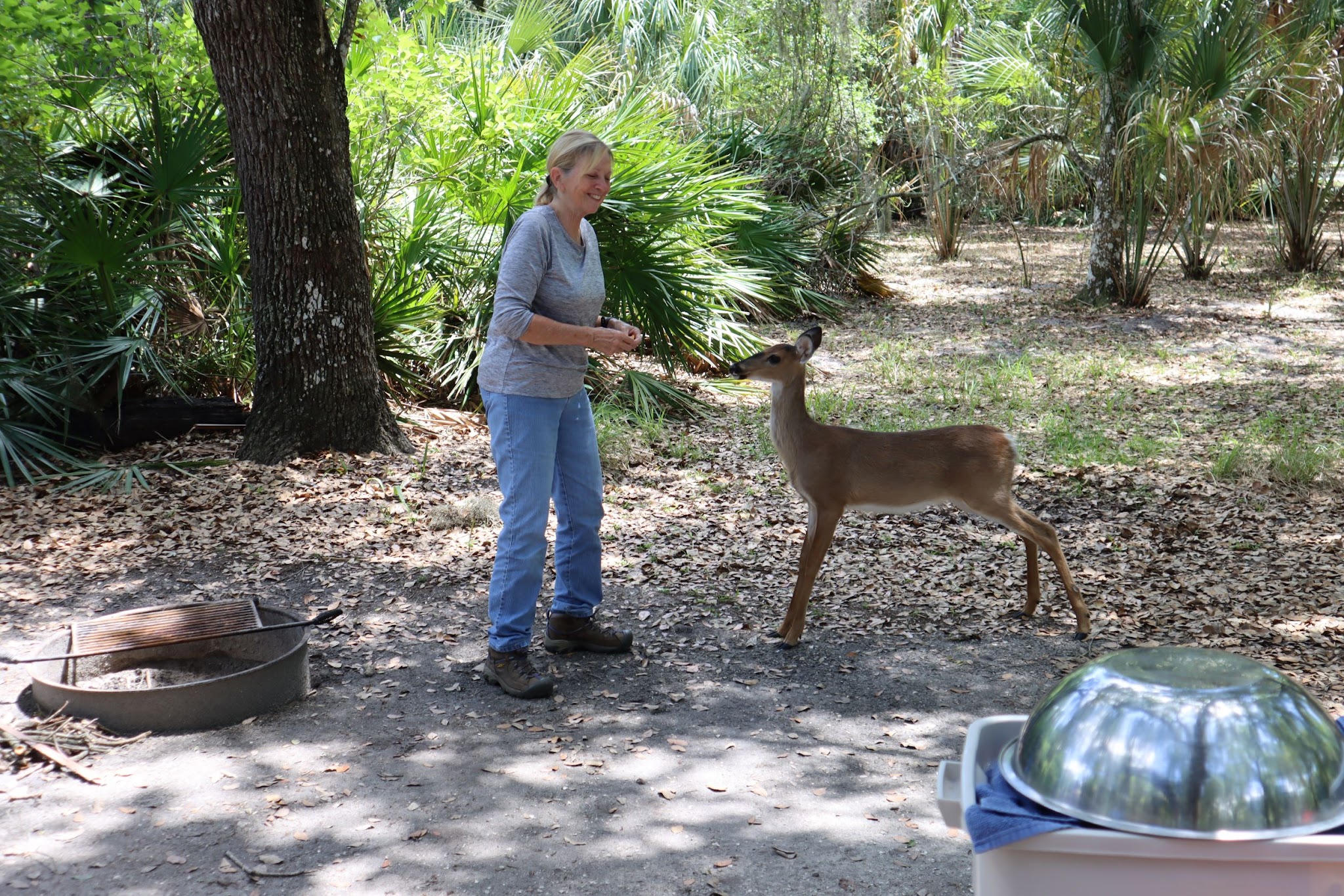 Lake Kissimmee Campground