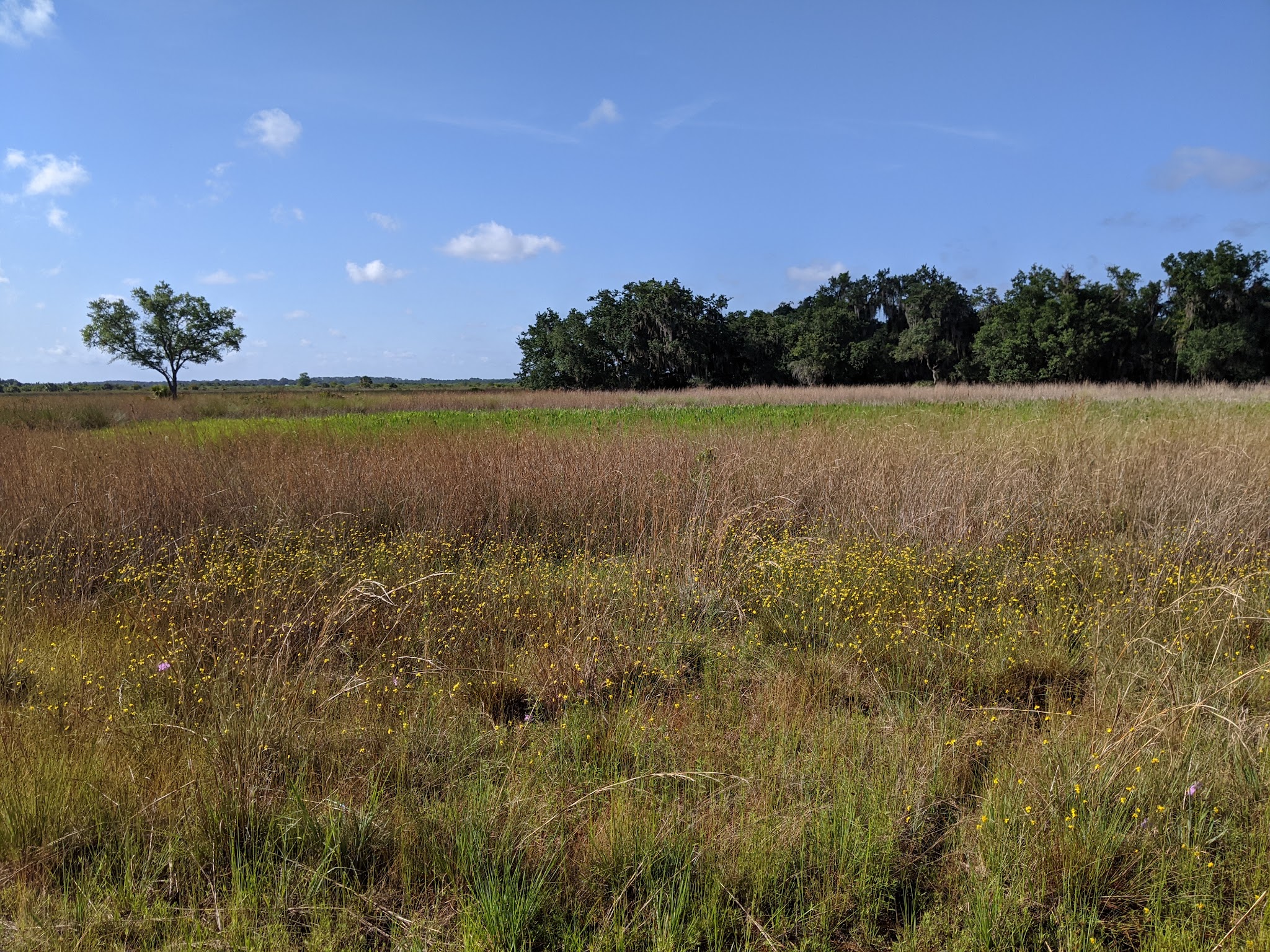 Lake Kissimmee Campground
