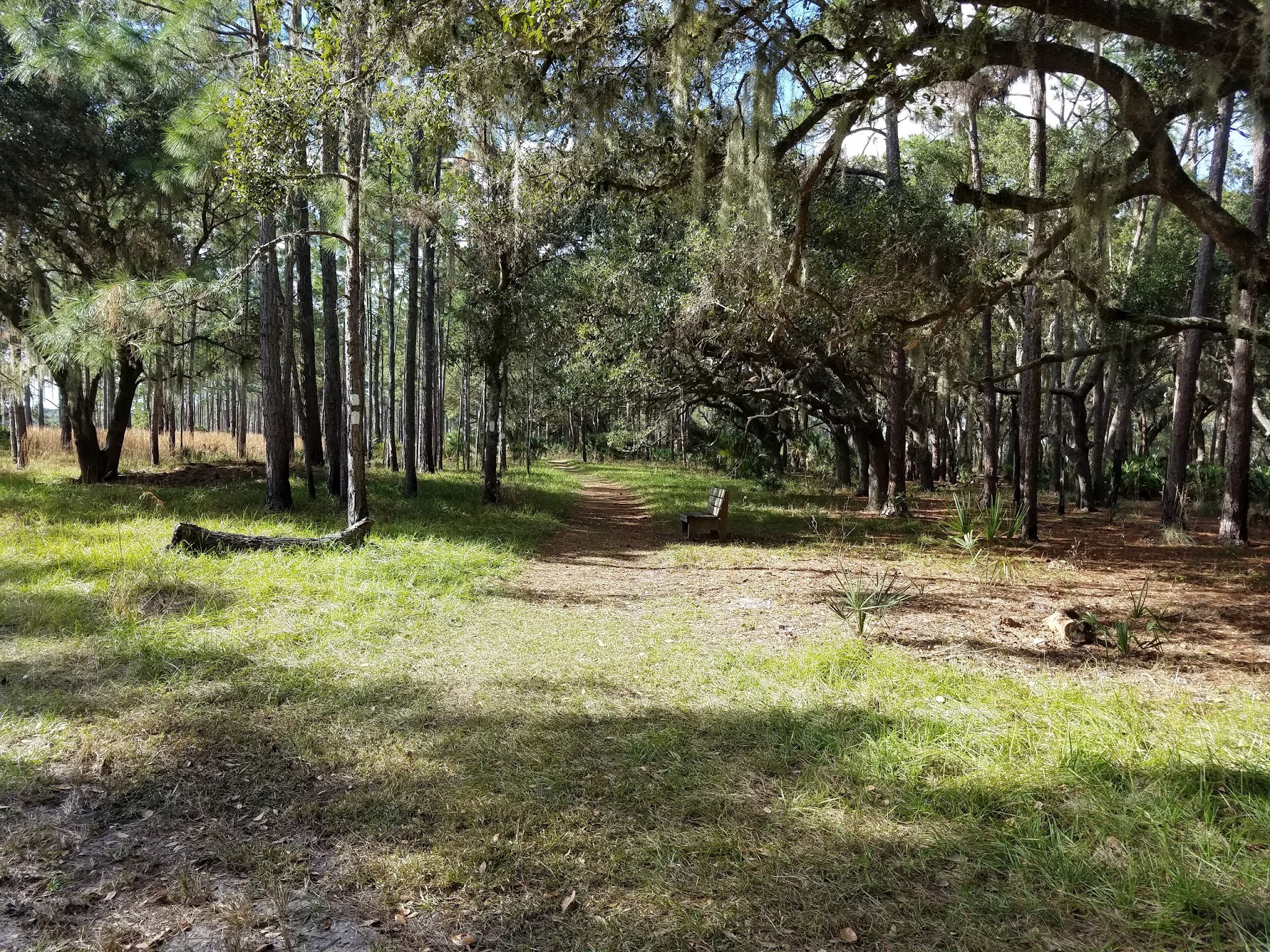 Lake Kissimmee State Park Campground
