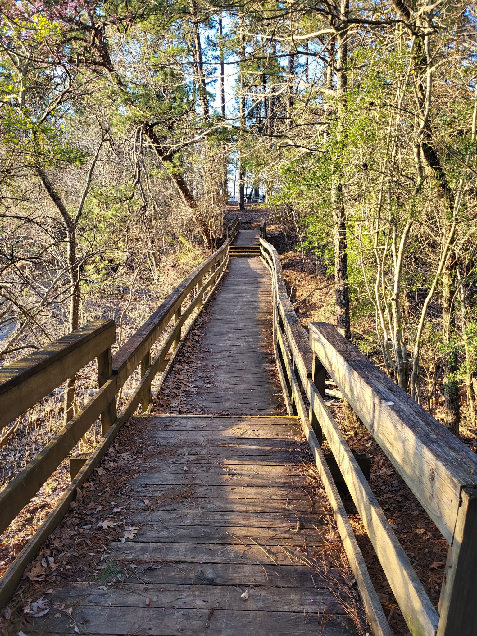 Lake Livingston State Park