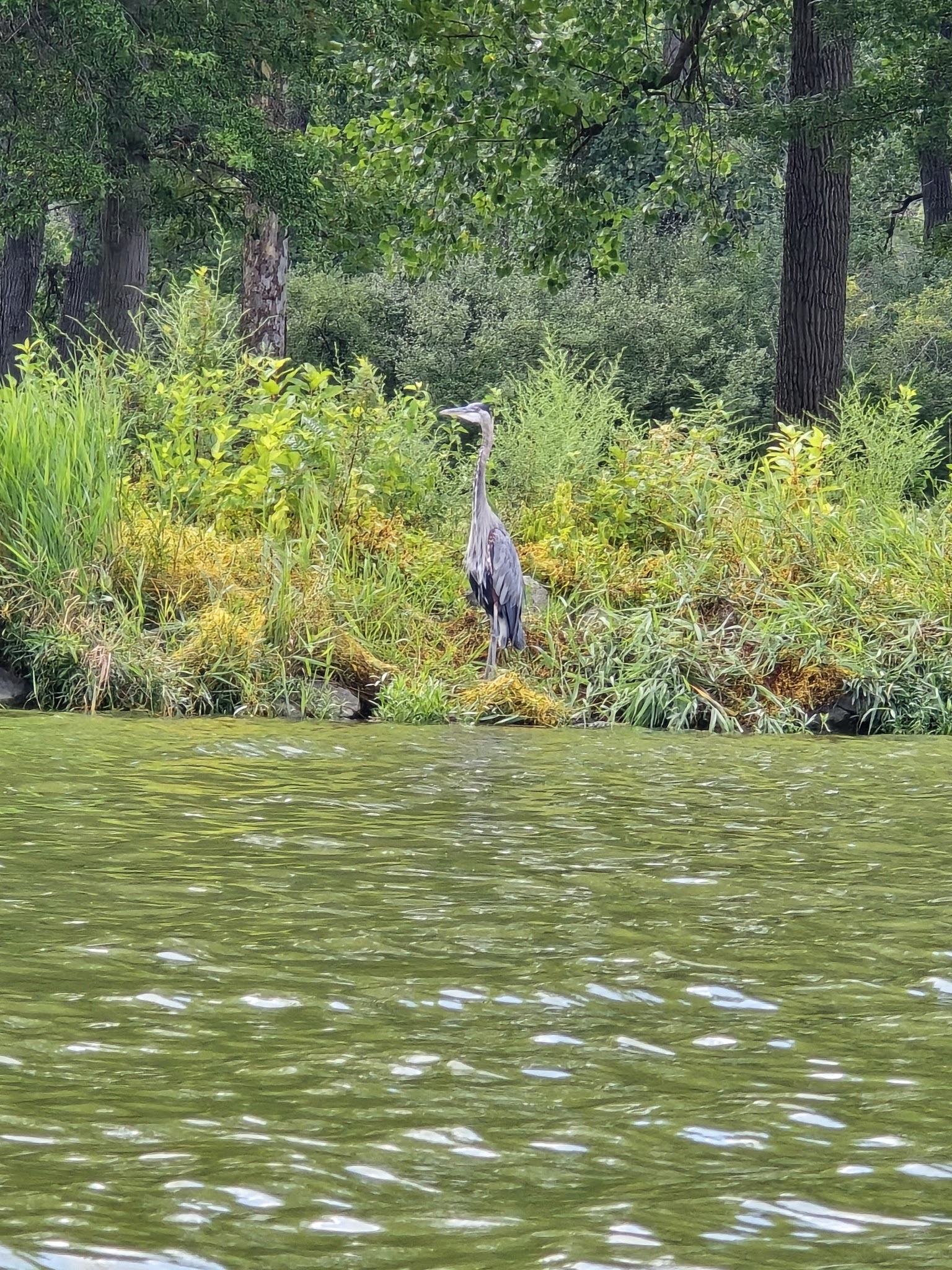 Lake Loramie Auxiliary Campground