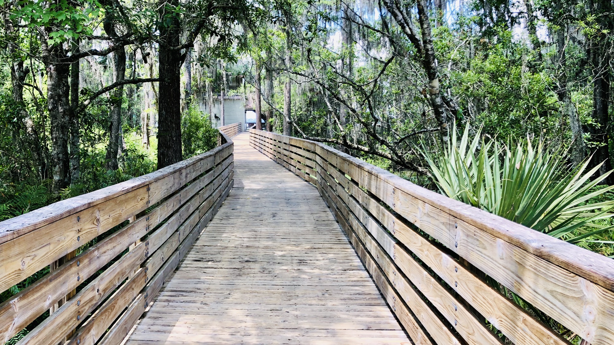 Lake Griffin State Park Campground