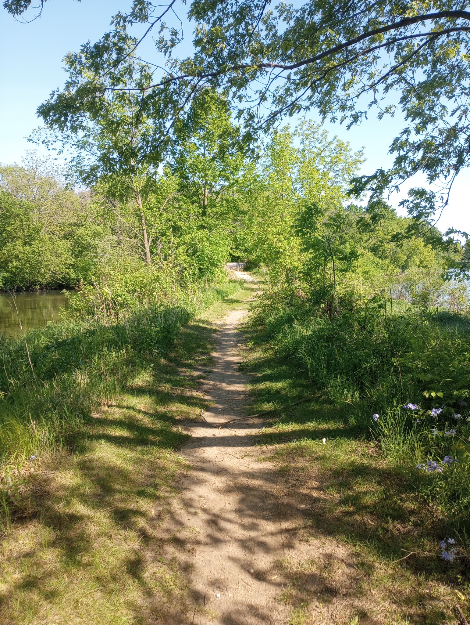 Equestrian - Horse Required Campground