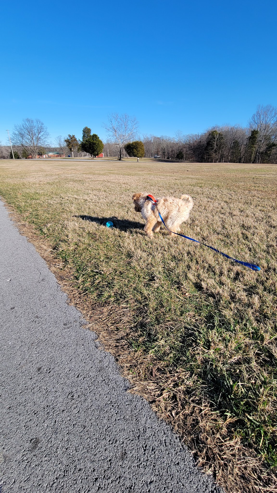 Lake Malone State Park