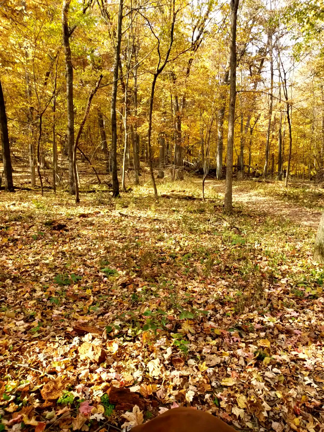 Backpack Campsites Campground