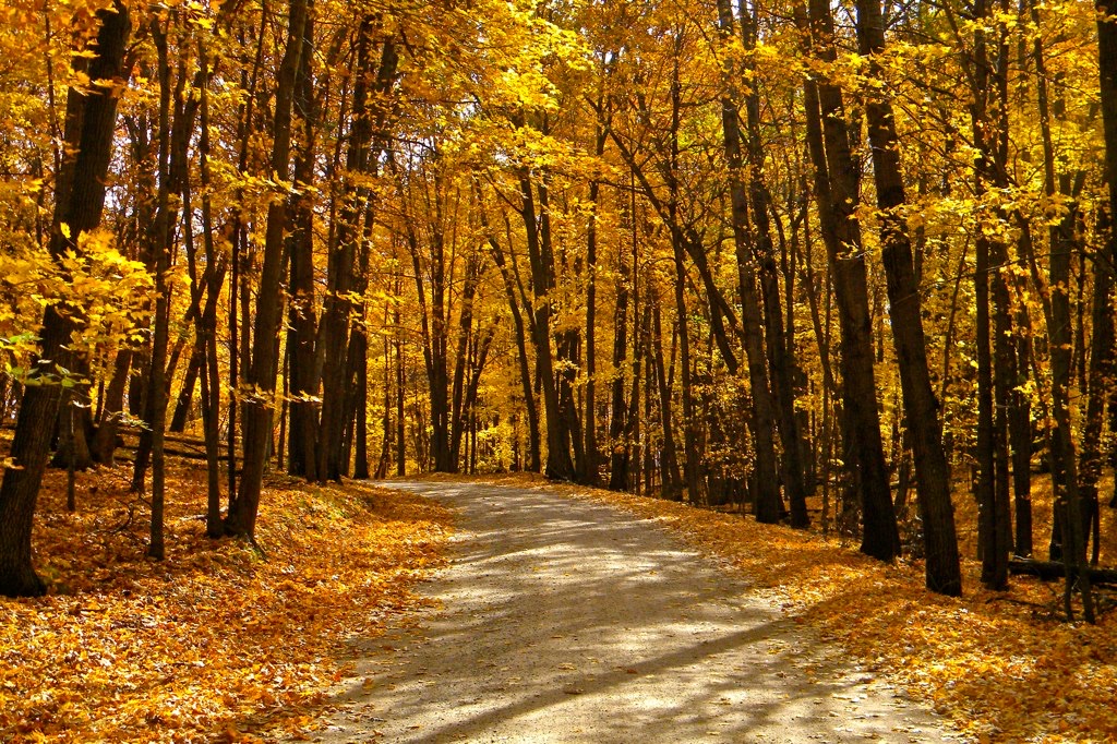 Backpack Campsites Campground