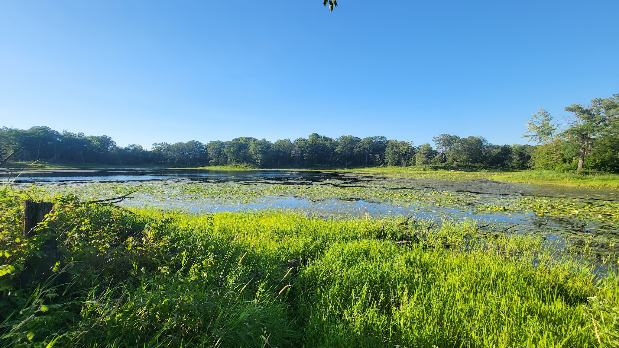 Backpack Campsites Campground