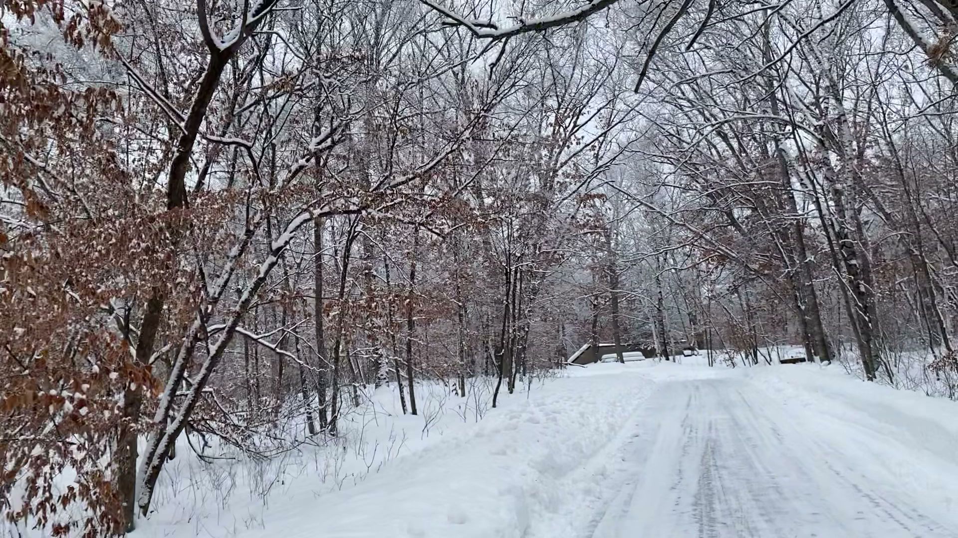 Backpack Campsites Campground