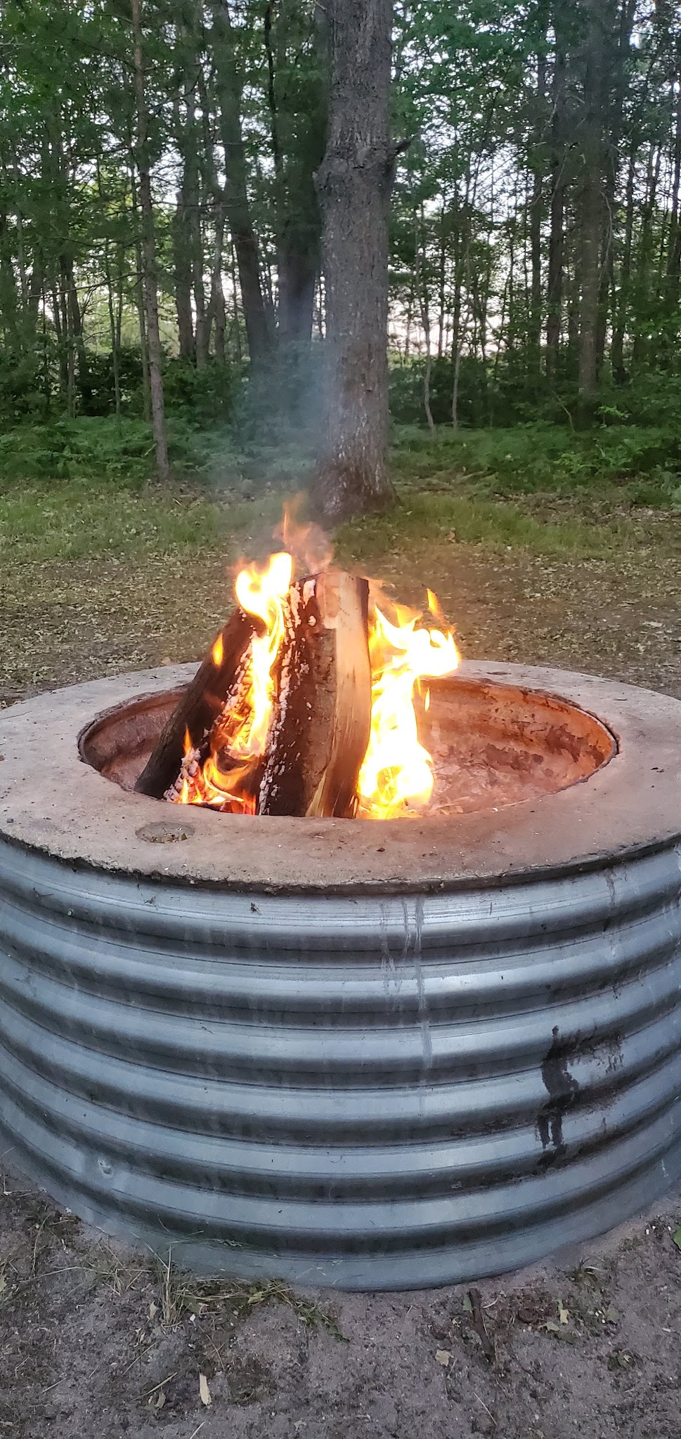 Lake Marjory State Forest Campground