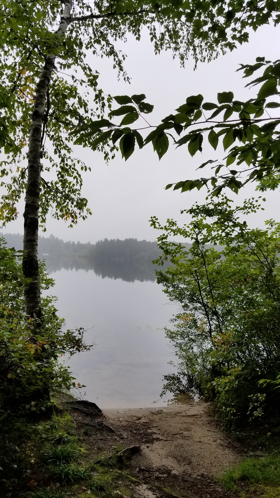 Lake Marjory State Forest Campground