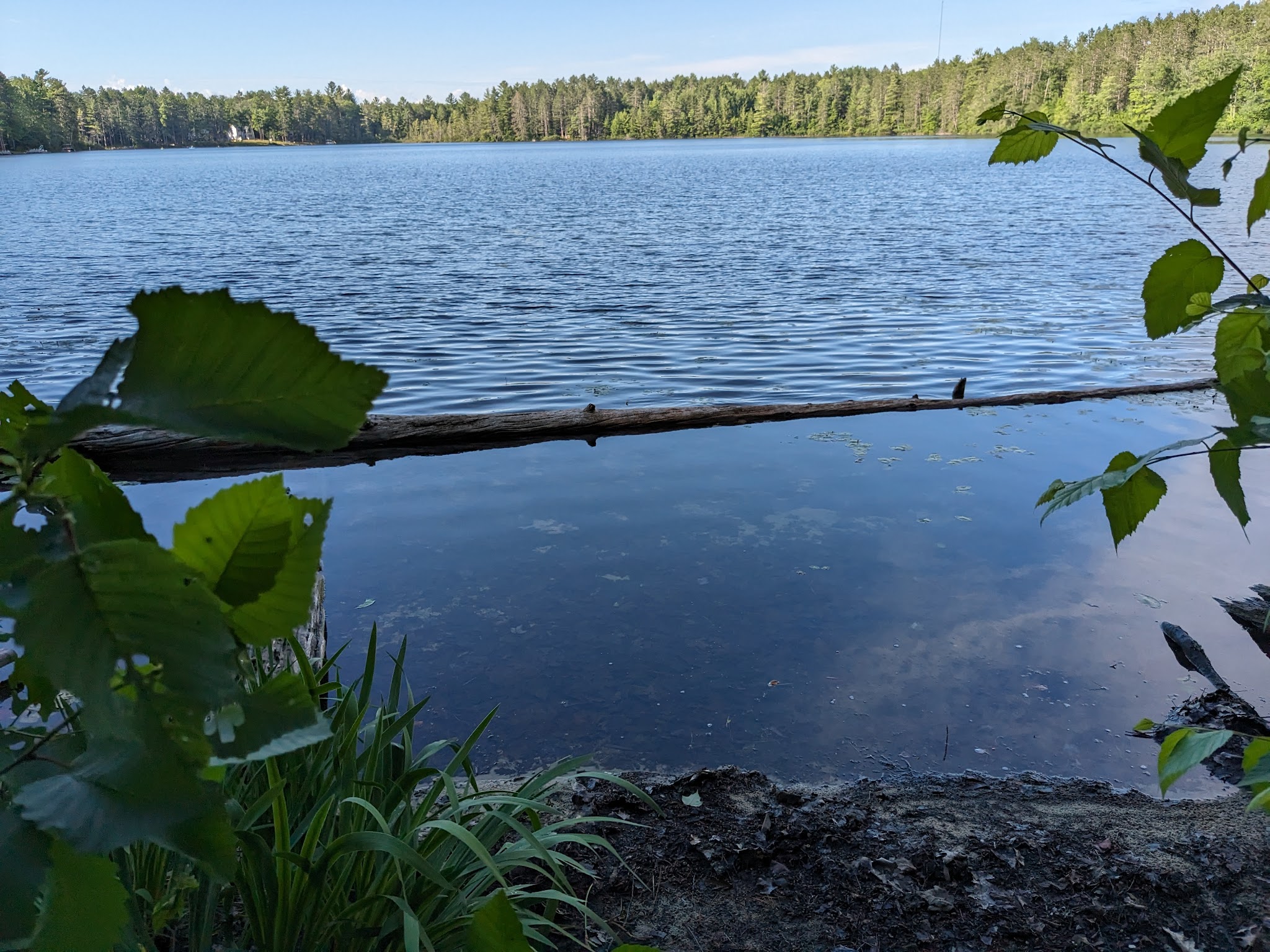 Lake Marjory State Forest Campground