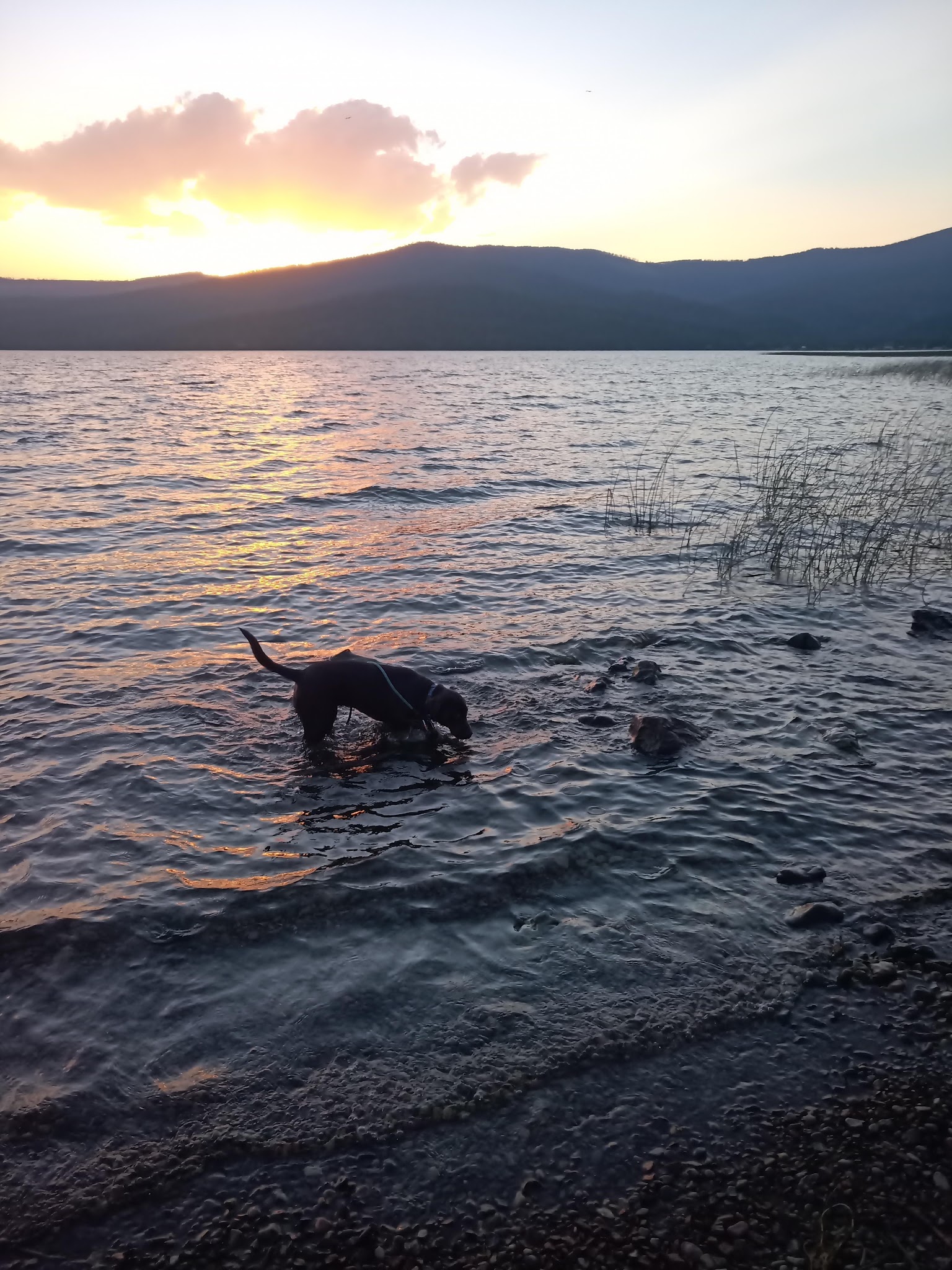 Lake Mary Ronan State Park