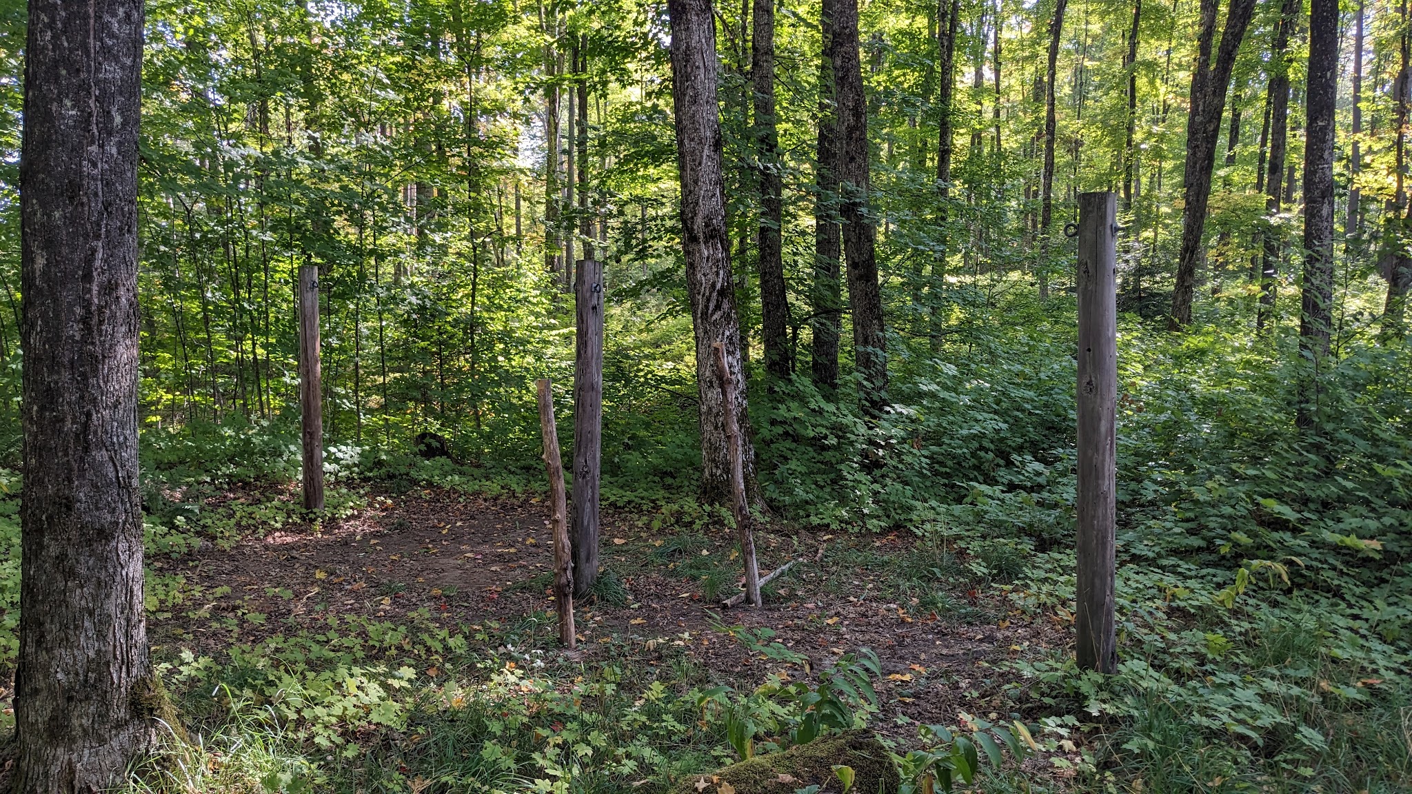 Lake Nineteen Campsites