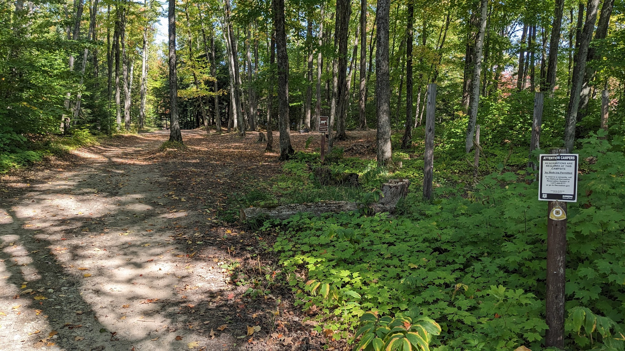 Lake Nineteen Campsites