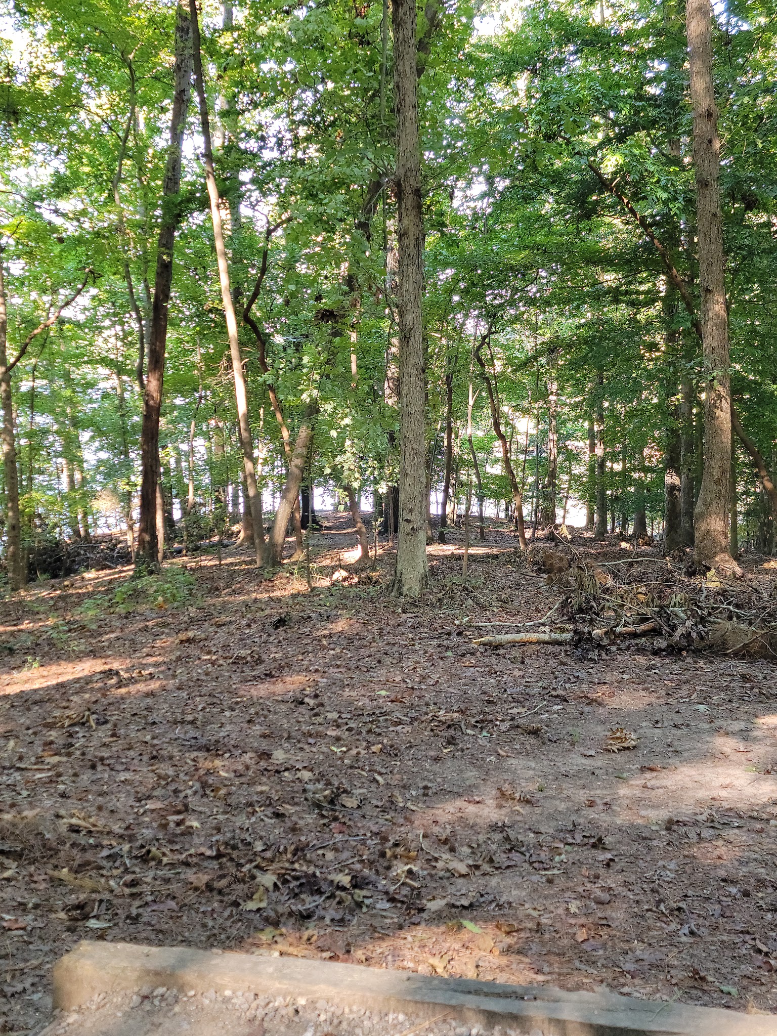 Lake Norman State Park