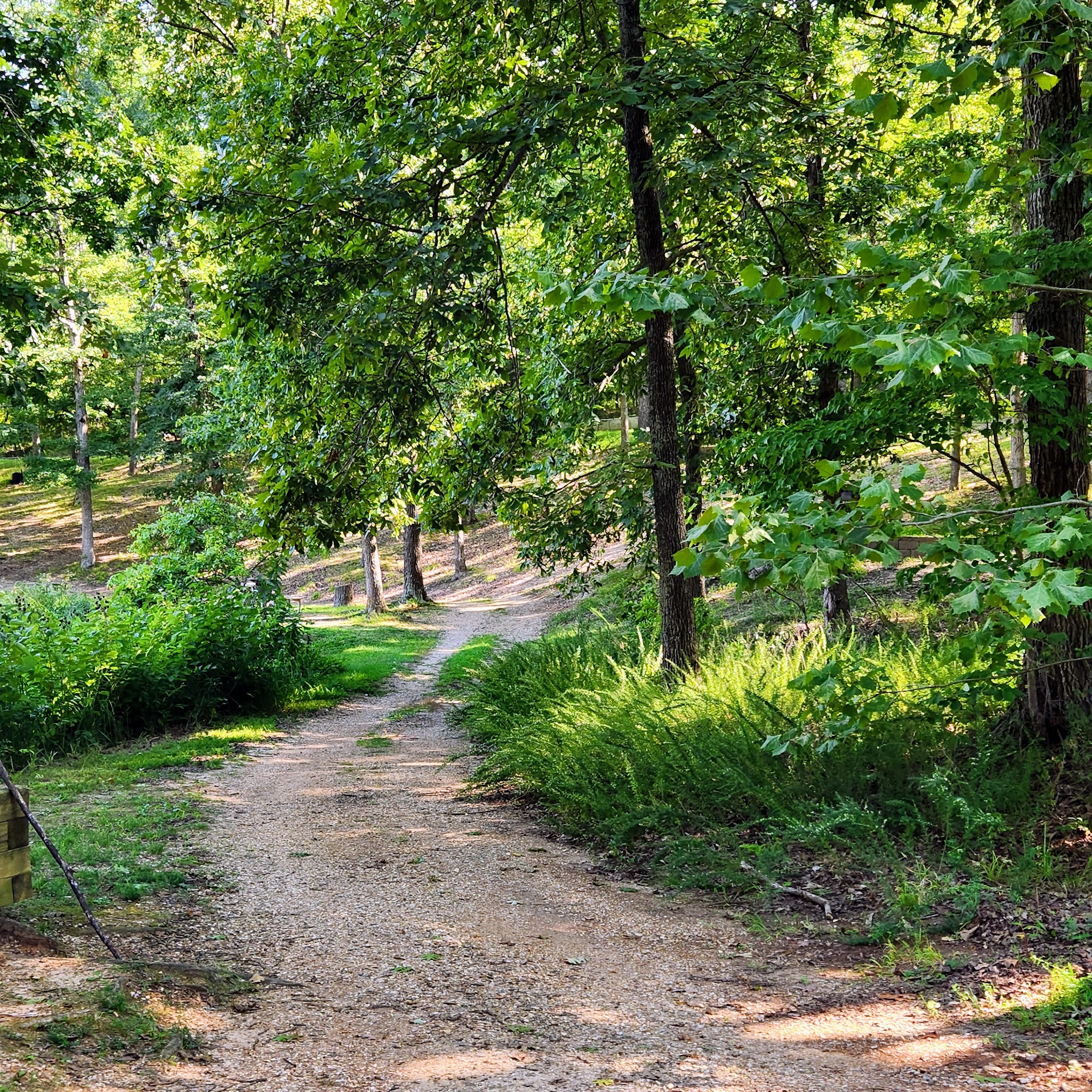 Lake Of The Ozarks State Park Campground