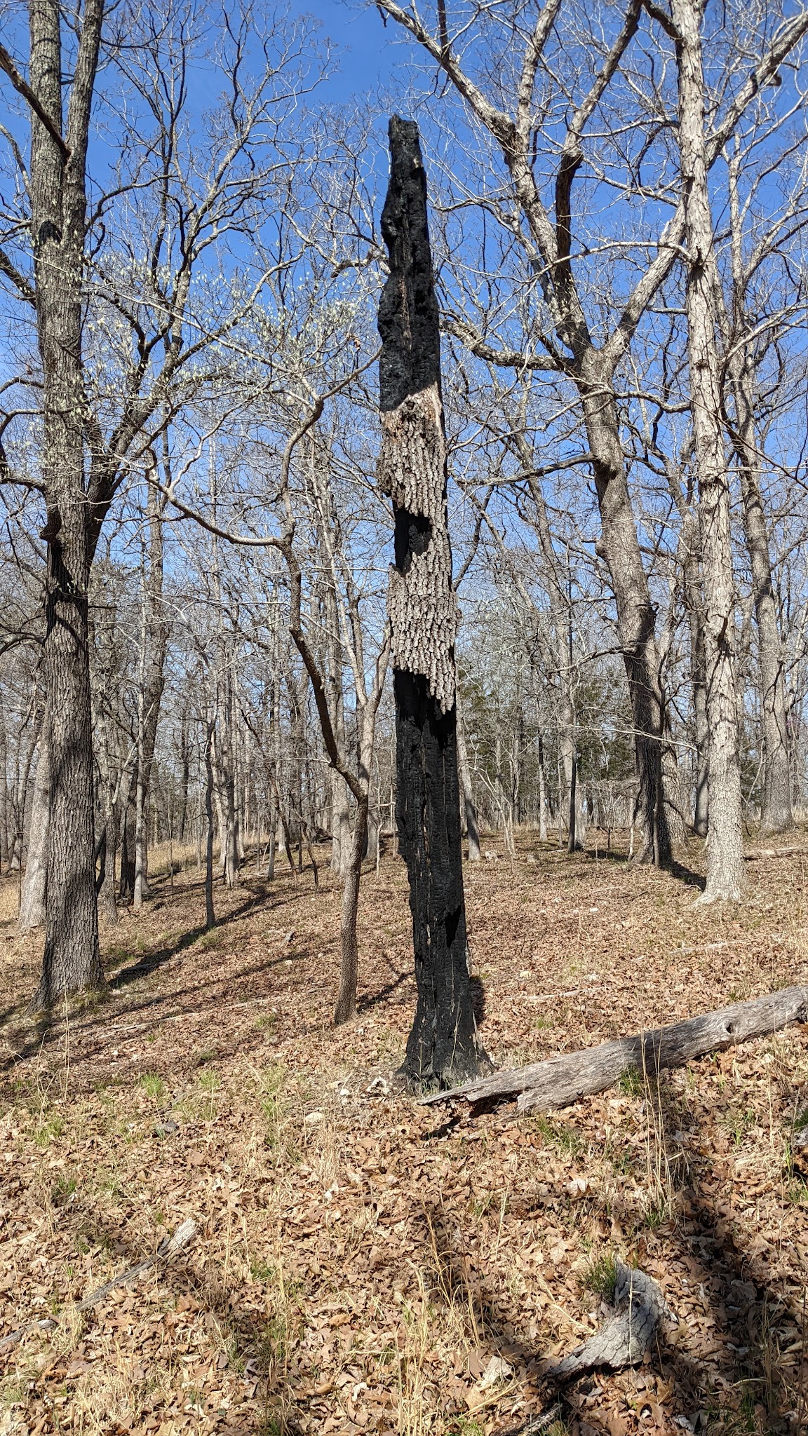 Lake Of The Ozarks State Park Campground