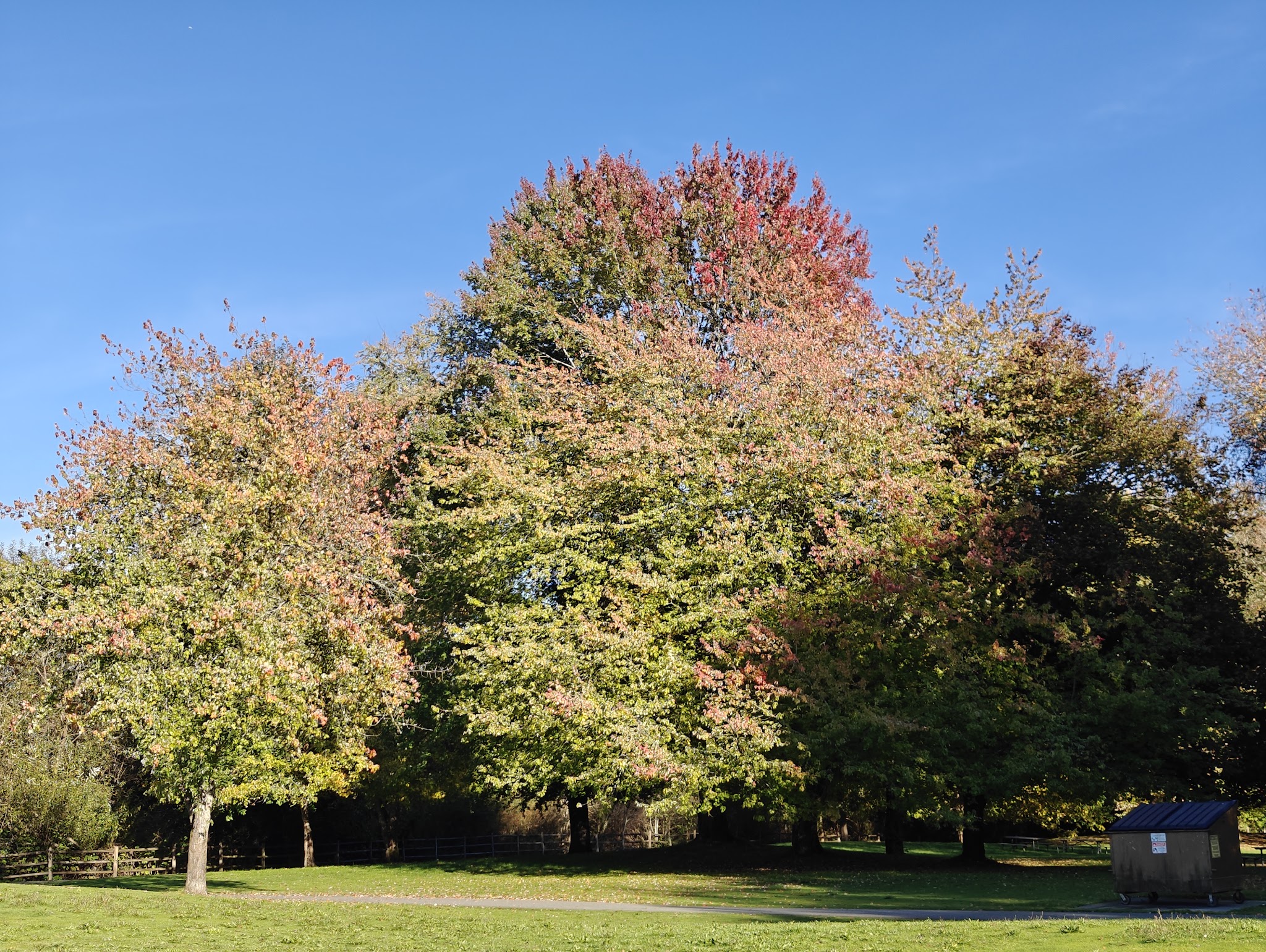 Lake Sammamish State Park