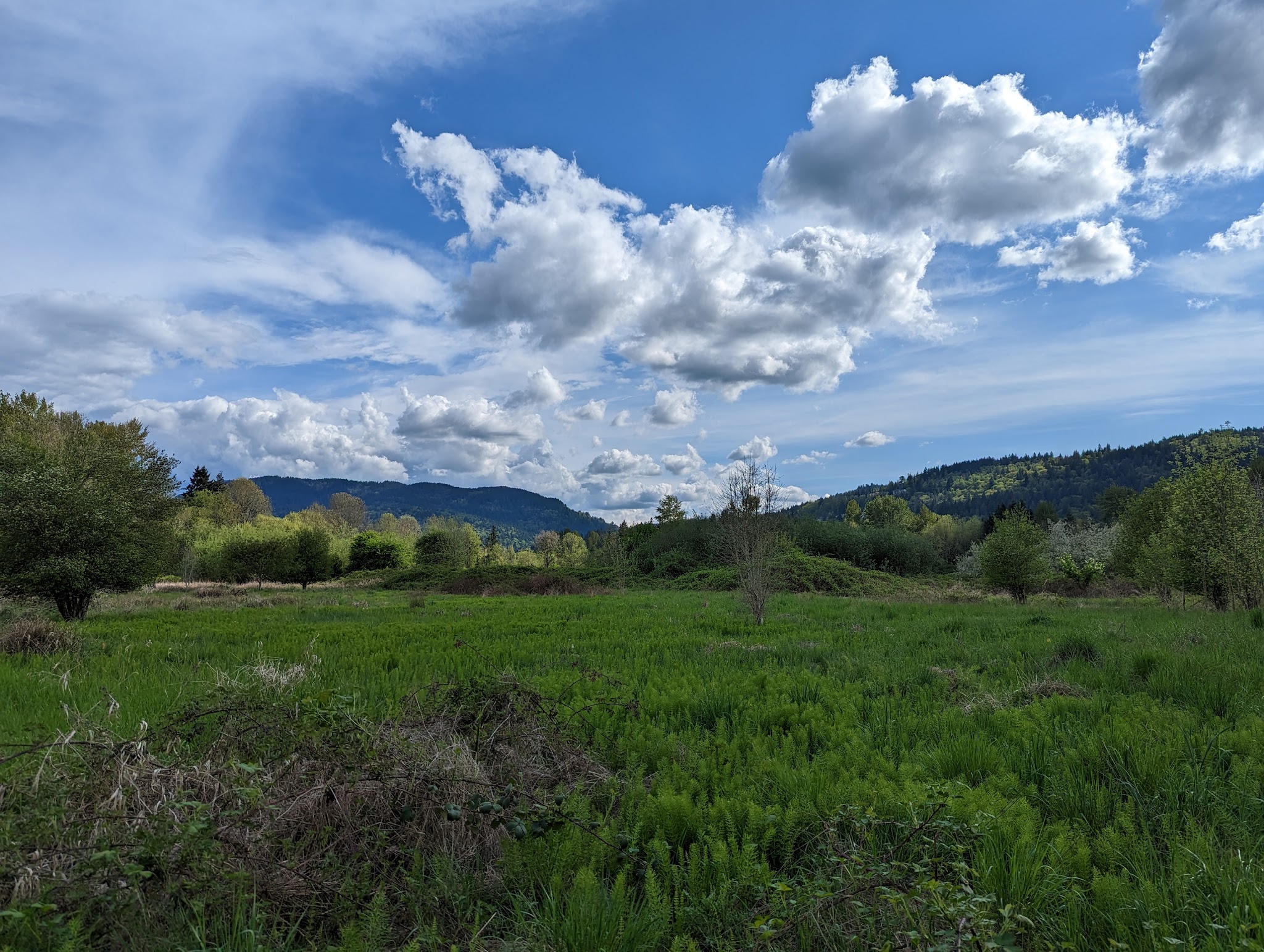 Lake Sammamish State Park