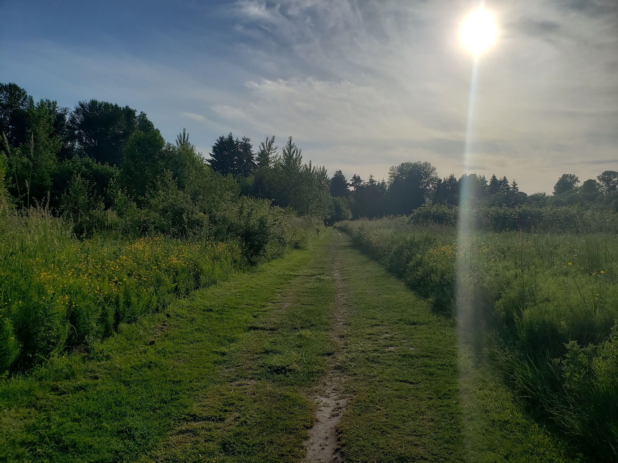 Lake Sammamish State Park