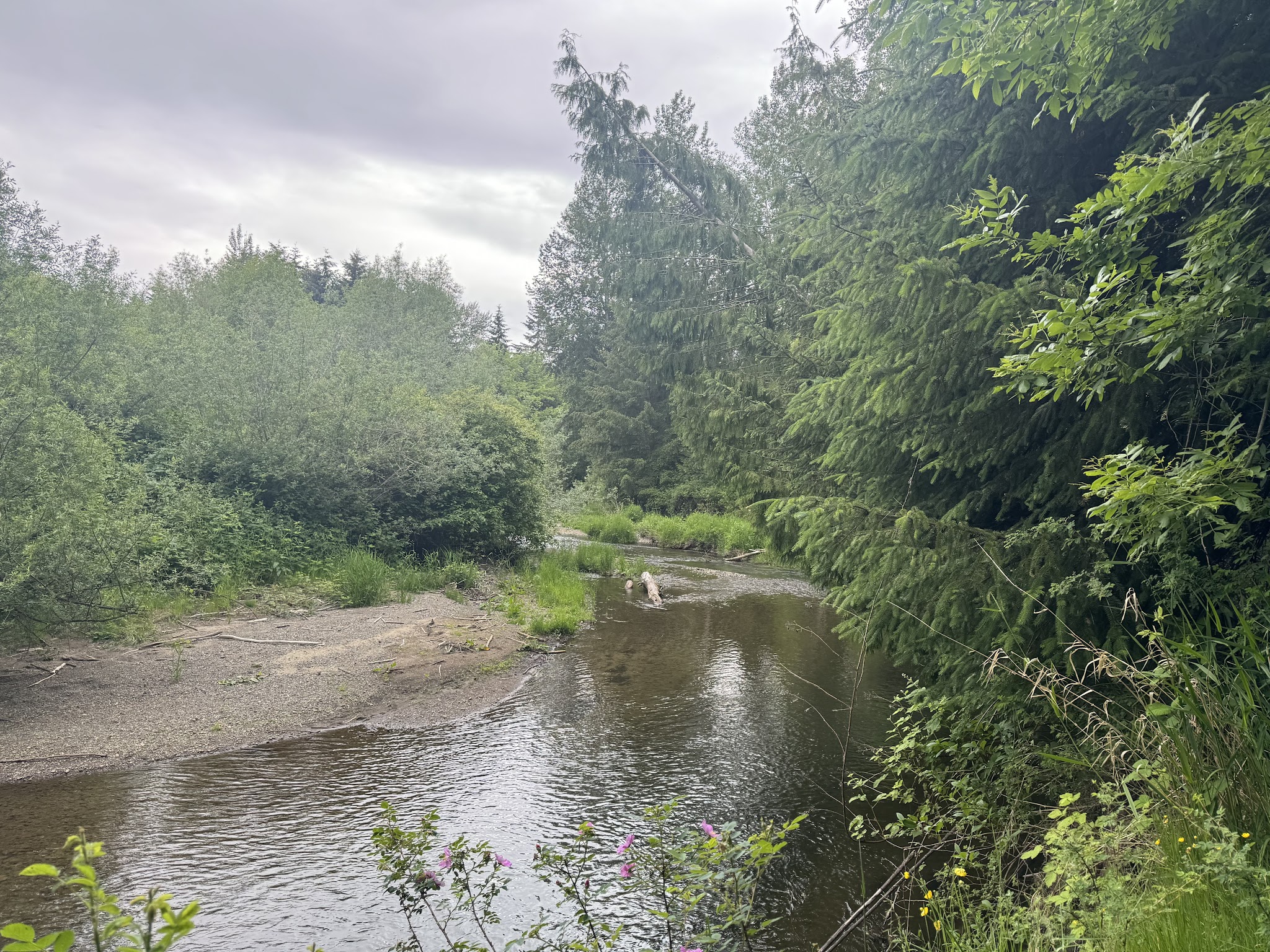 Lake Sammamish State Park