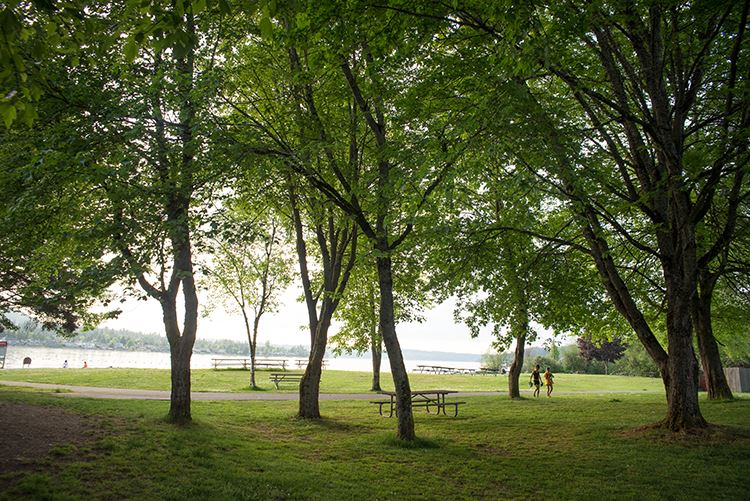 Lake Sammamish State Park