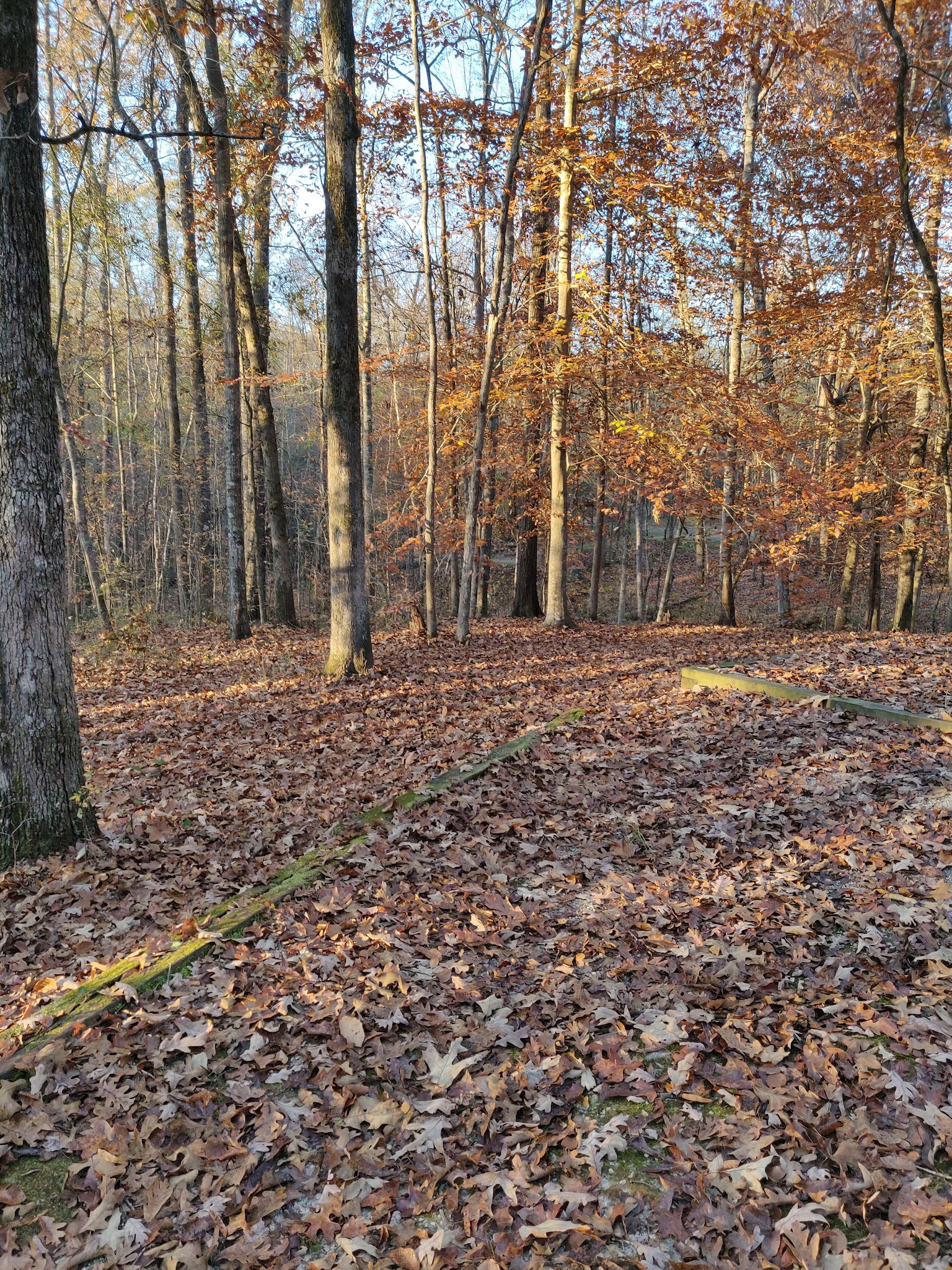 Lake Sinclair Recreation Area