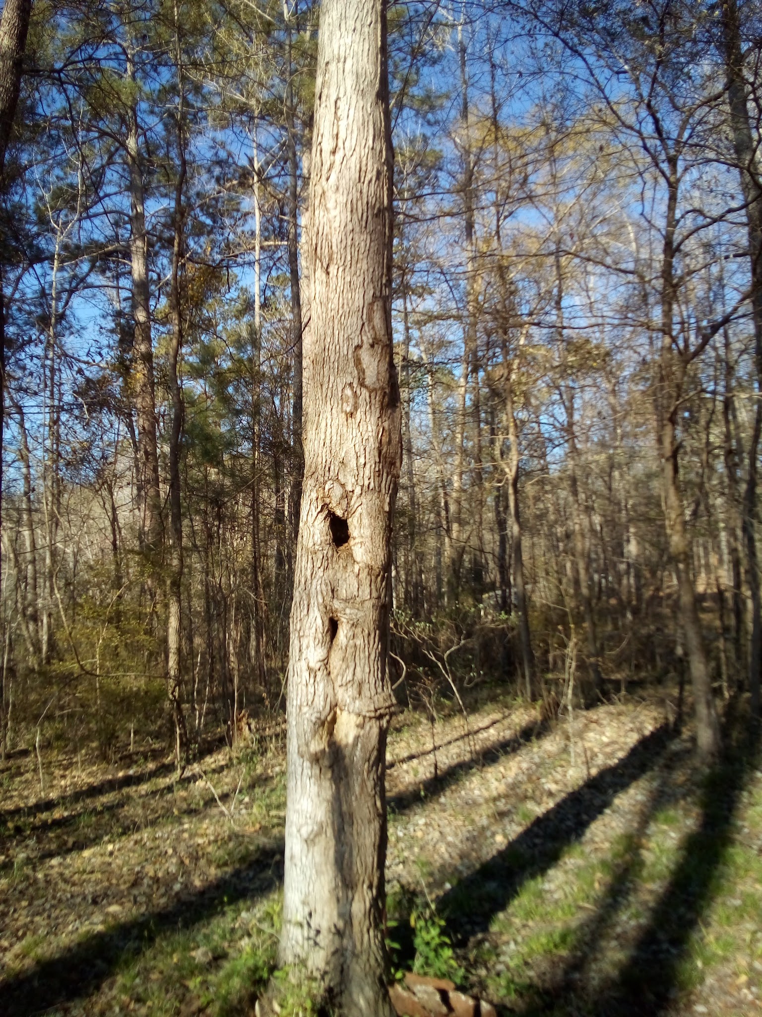 Lake Sinclair Recreation Area
