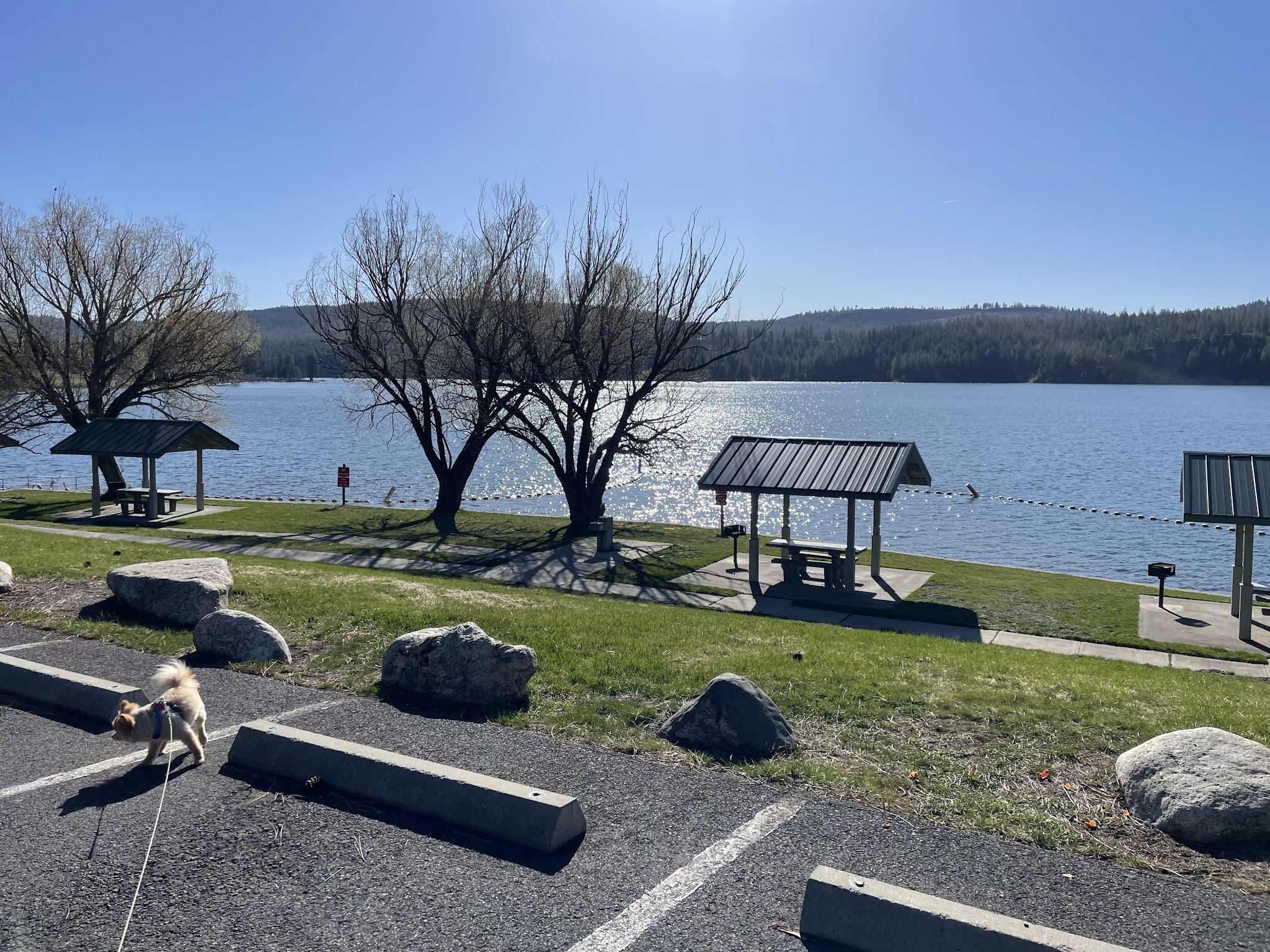 Riverside State Park - Lake Spokane
