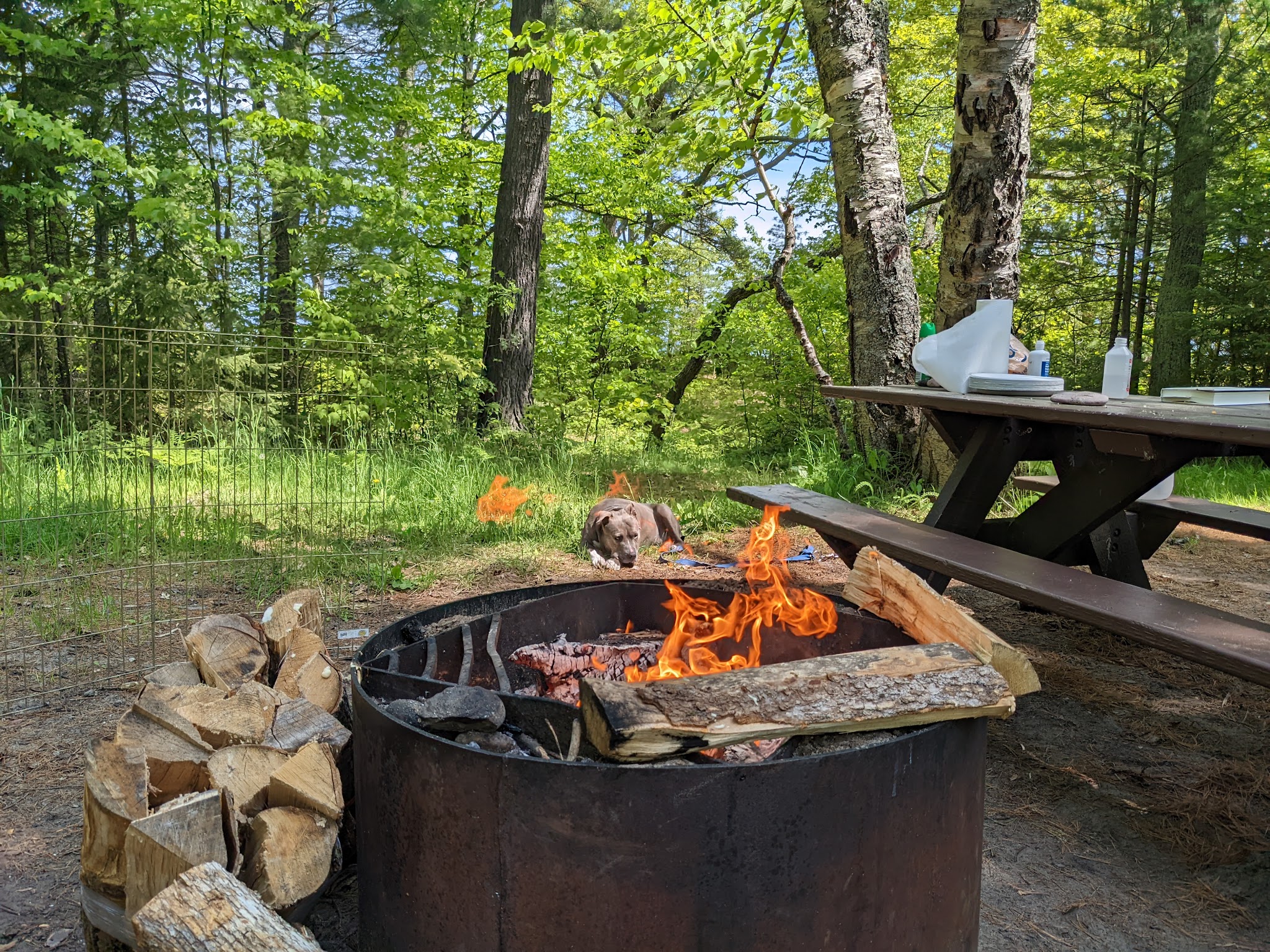 Lake Superior State Forest Campground
