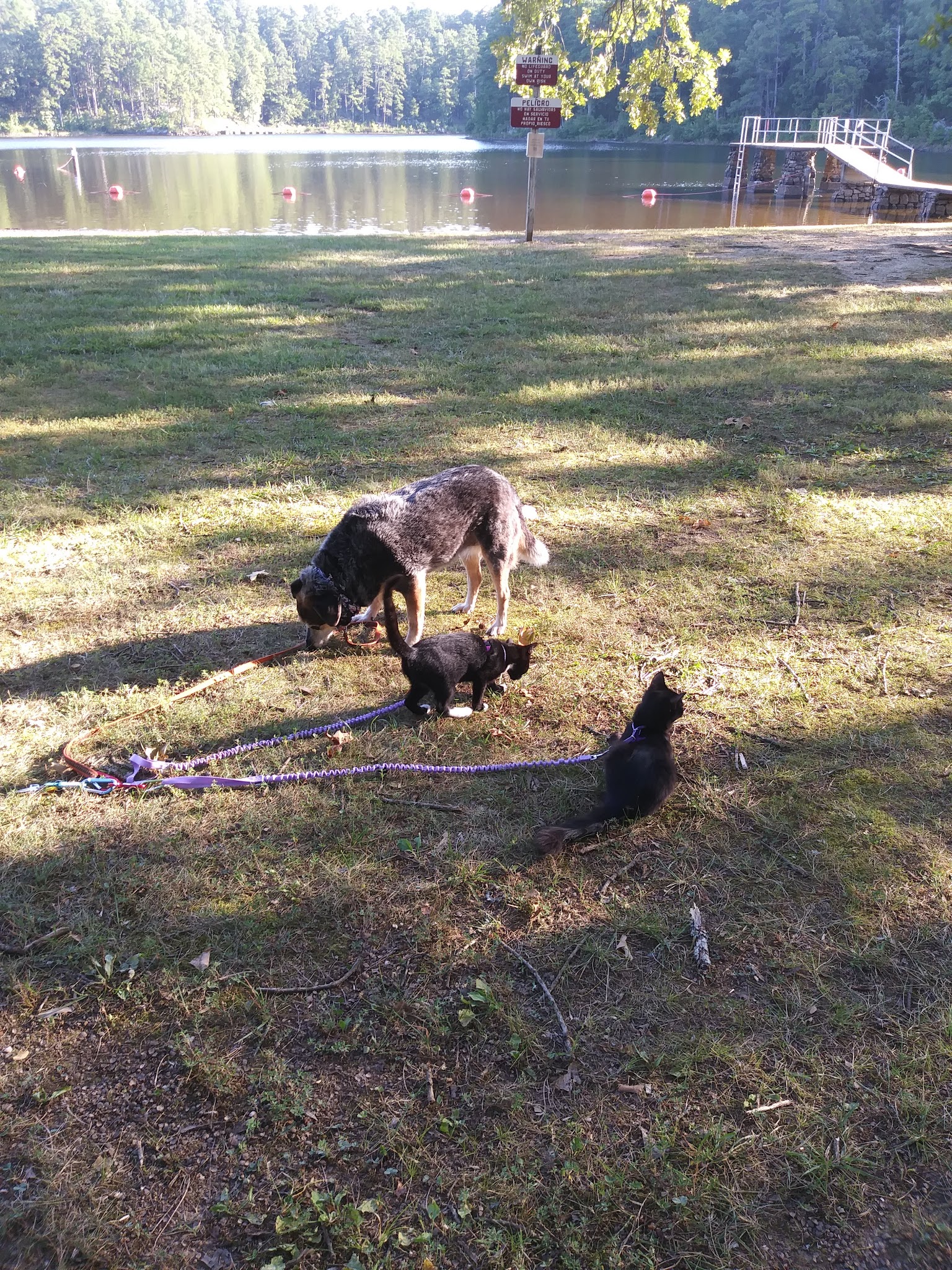 Lake Sylvia Recreation Area