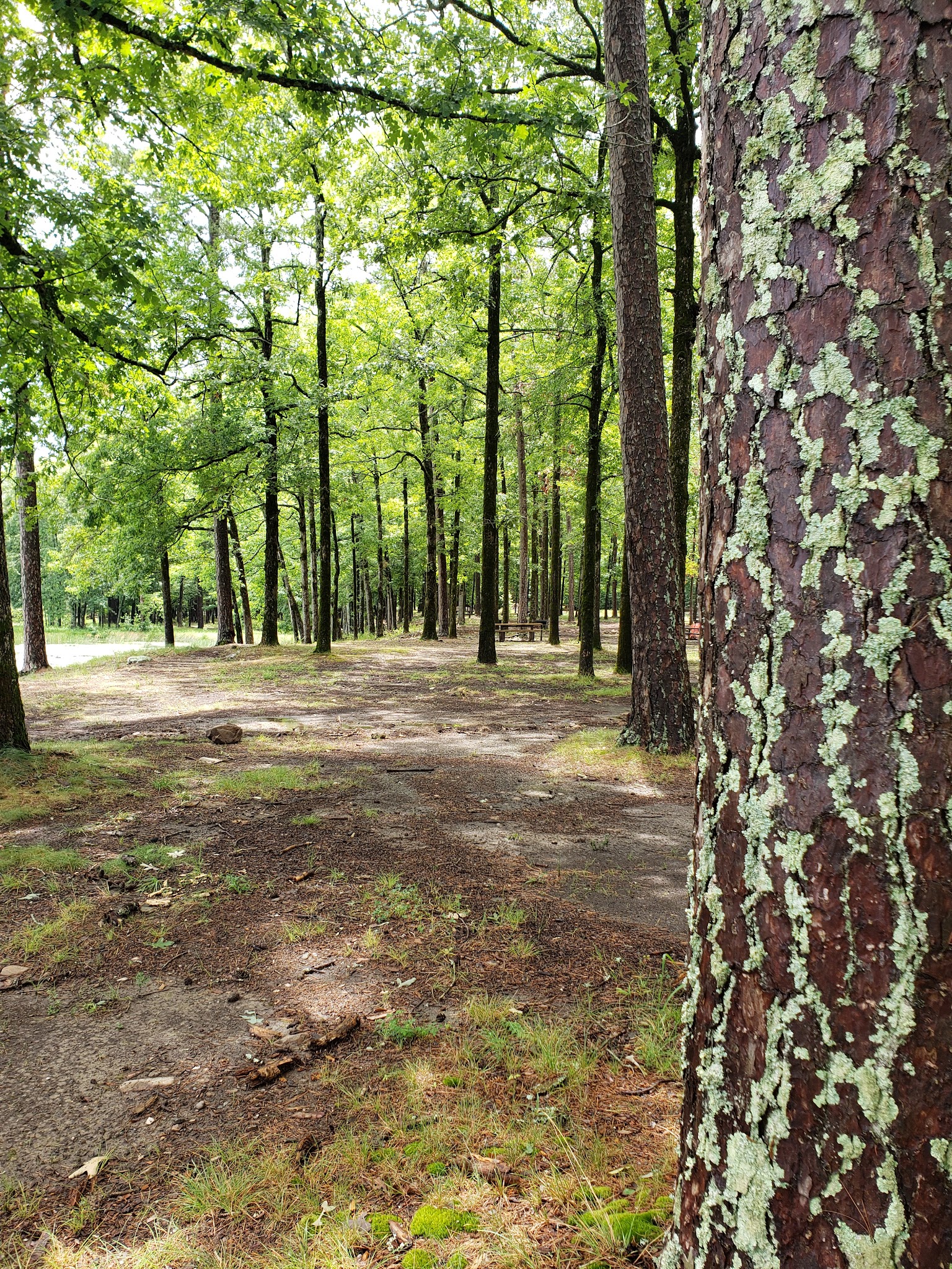 Lake Sylvia Recreation Area